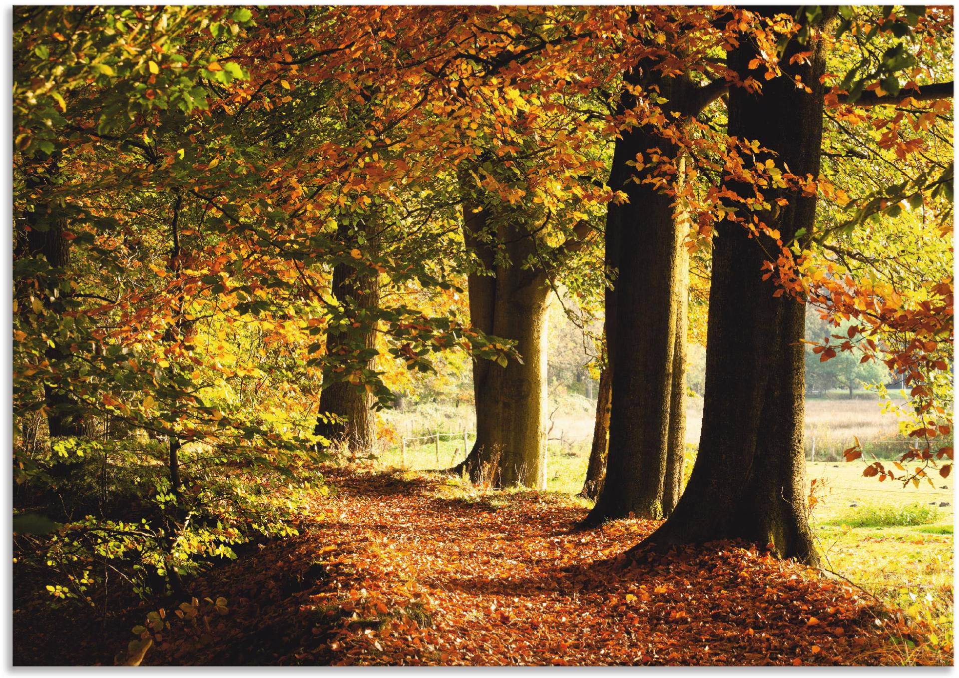 Artland Wandbild »Herbstfarben«, Bäume, (1 St.) von Artland