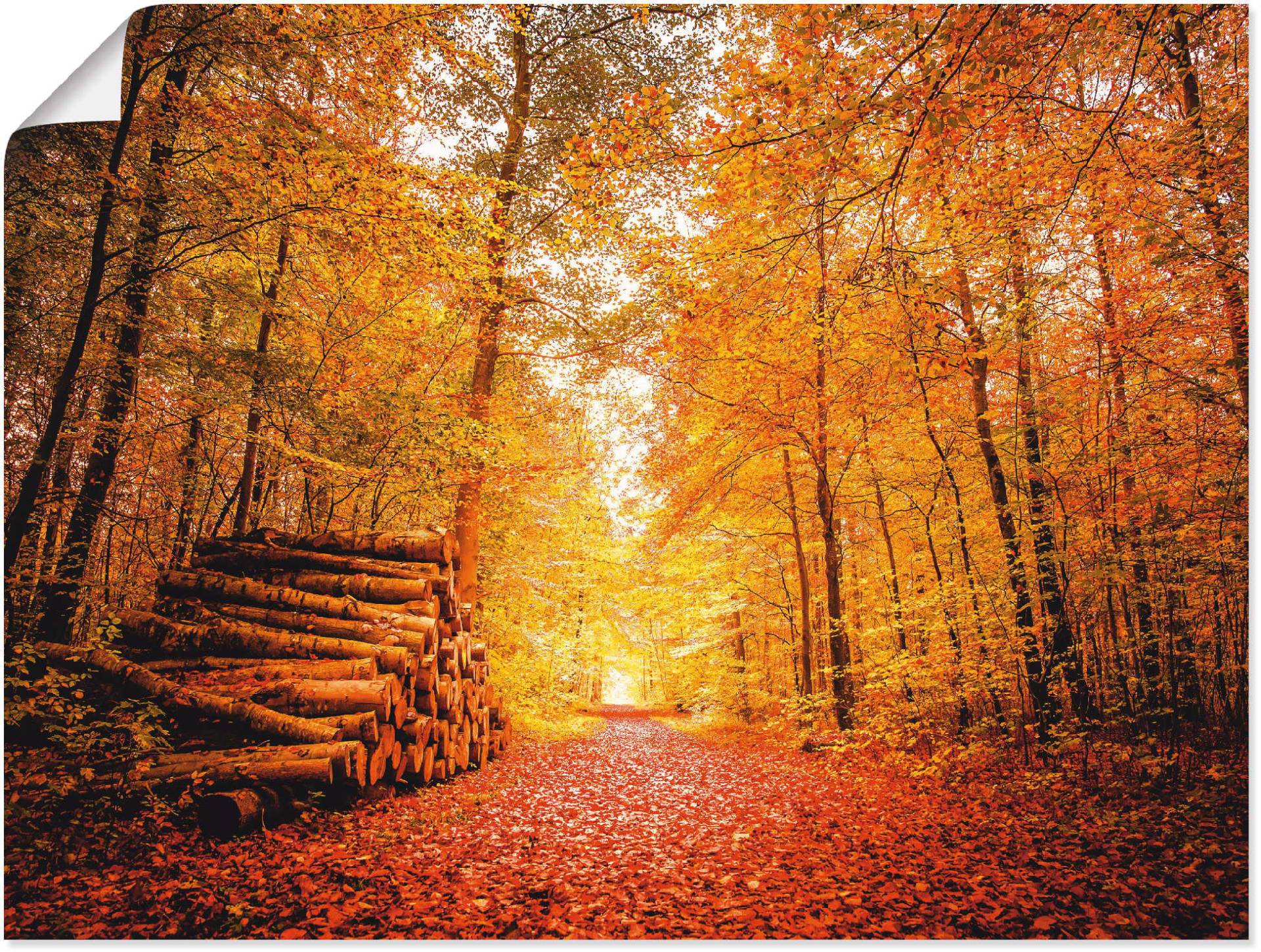 Artland Poster »Herbstlandschaft«, Vier Jahreszeiten, (1 St.) von Artland