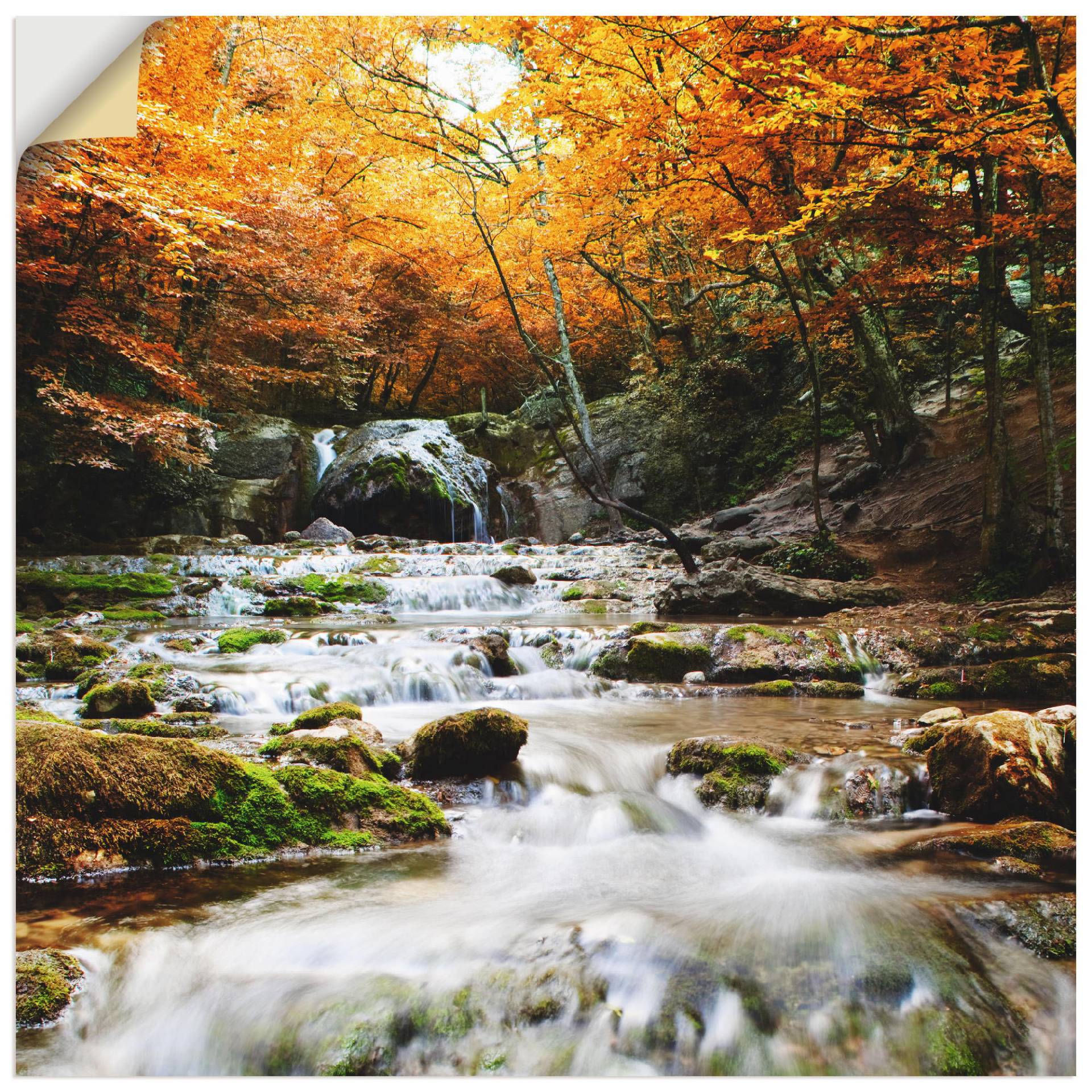 Artland Wandbild »Herbstlicher Wasserfall«, Gewässer, (1 St.) von Artland