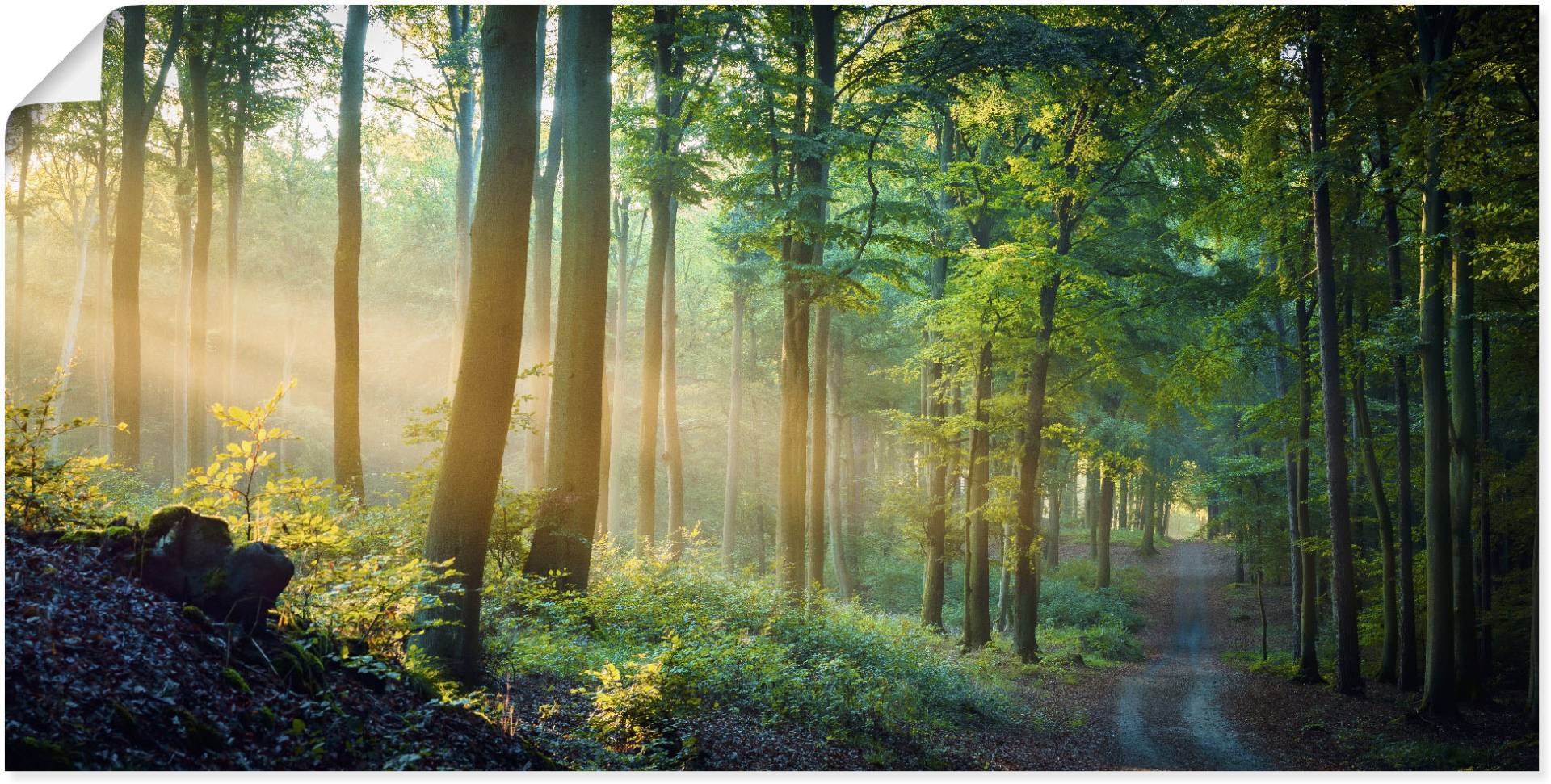 Artland Wandbild »Herbstmorgen im Wald«, Waldbilder, (1 St.), als Alubild, Outdoorbild, Leinwandbild, Poster in verschied. Grössen von Artland