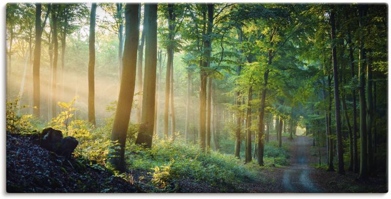Artland Wandbild »Herbstmorgen im Wald«, Waldbilder, (1 St.) von Artland
