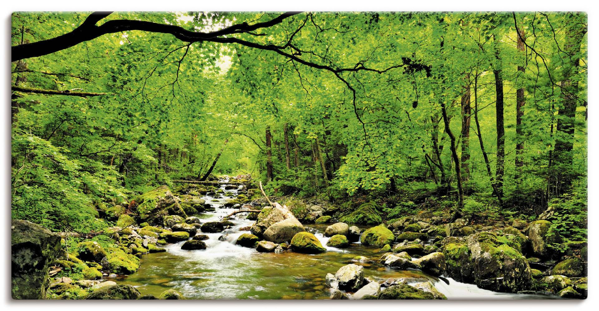 Artland Wandbild »Herbstwald Fluss Smolny«, Wald, (1 St.) von Artland