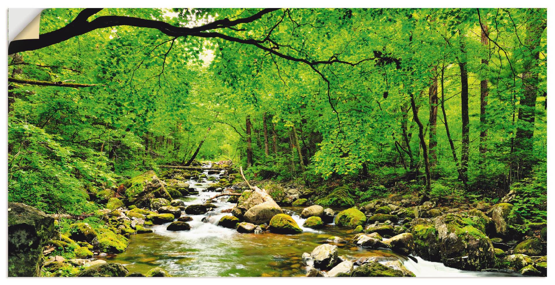 Artland Wandbild »Herbstwald Fluss Smolny«, Wald, (1 St.) von Artland