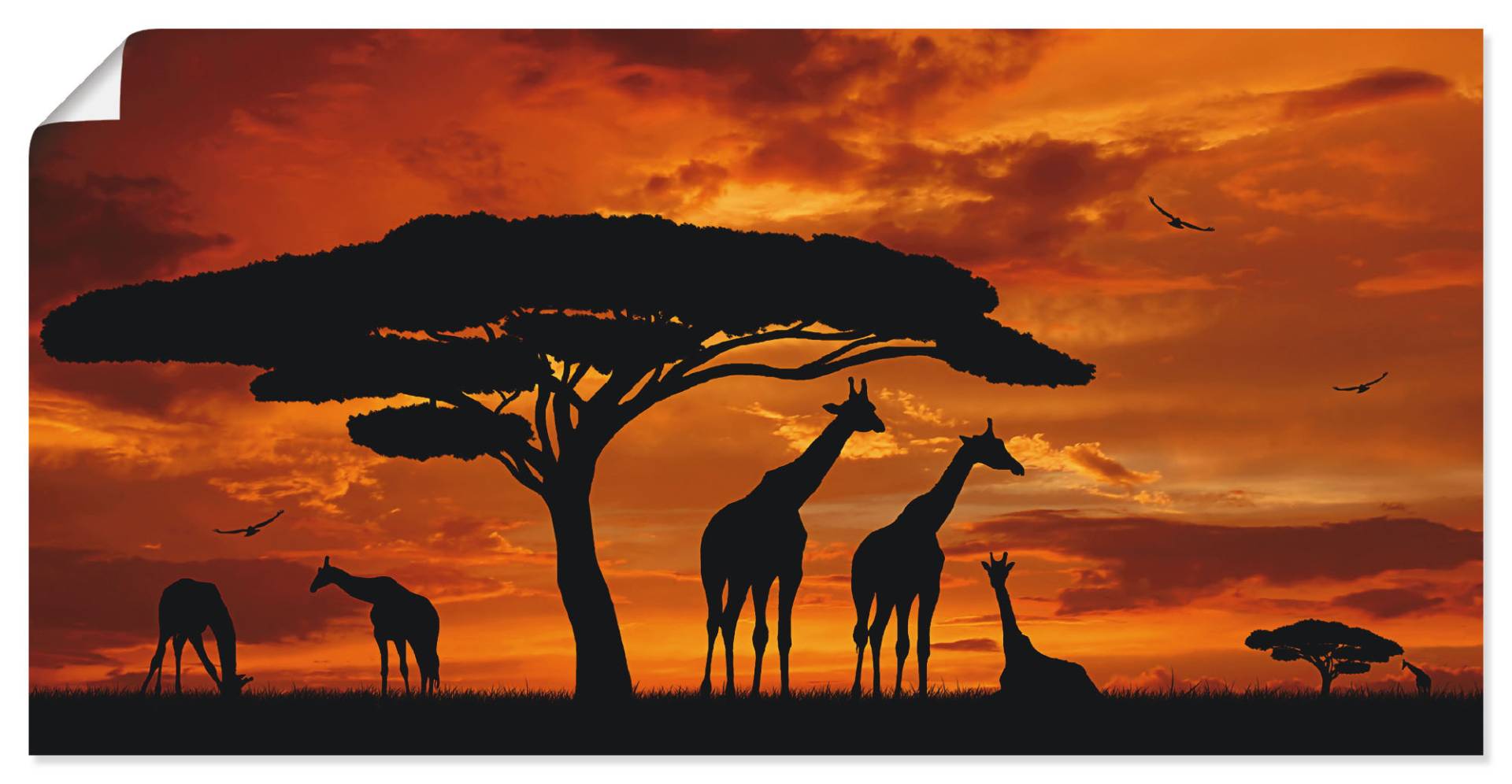 Artland Wandbild »Herde von Giraffen im Sonnenuntergang«, Wildtiere, (1 St.) von Artland