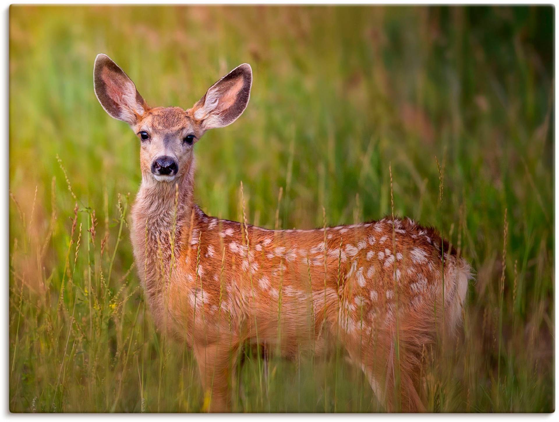 Artland Leinwandbild »Hirsch Beobachtung IV«, Wildtiere, (1 St.) von Artland