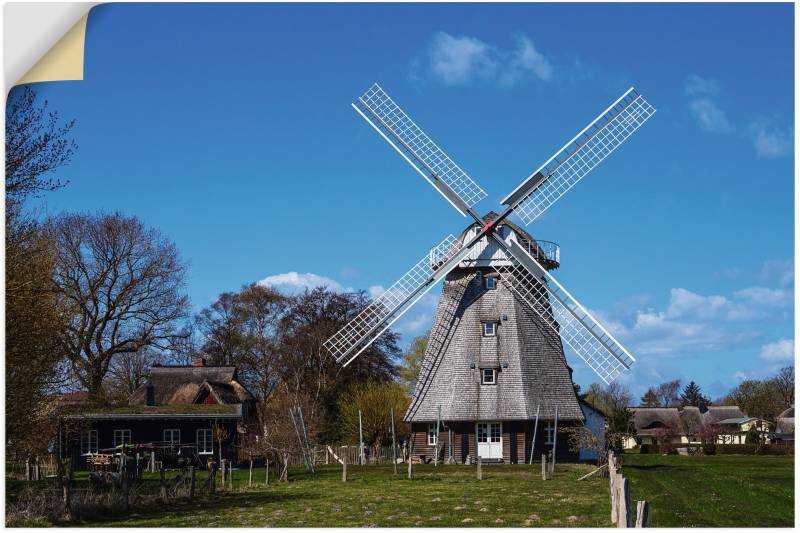 Artland Wandbild »Historische Windmühle in Ahrenshoop«, Gebäude, (1 St.), als Alubild, Leinwandbild, Wandaufkleber oder Poster in versch. Grössen von Artland