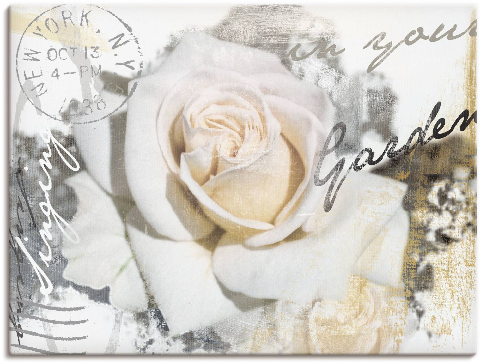 Artland Wandbild »In Buchstaben - Rose«, Blumen, (1 St.) von Artland