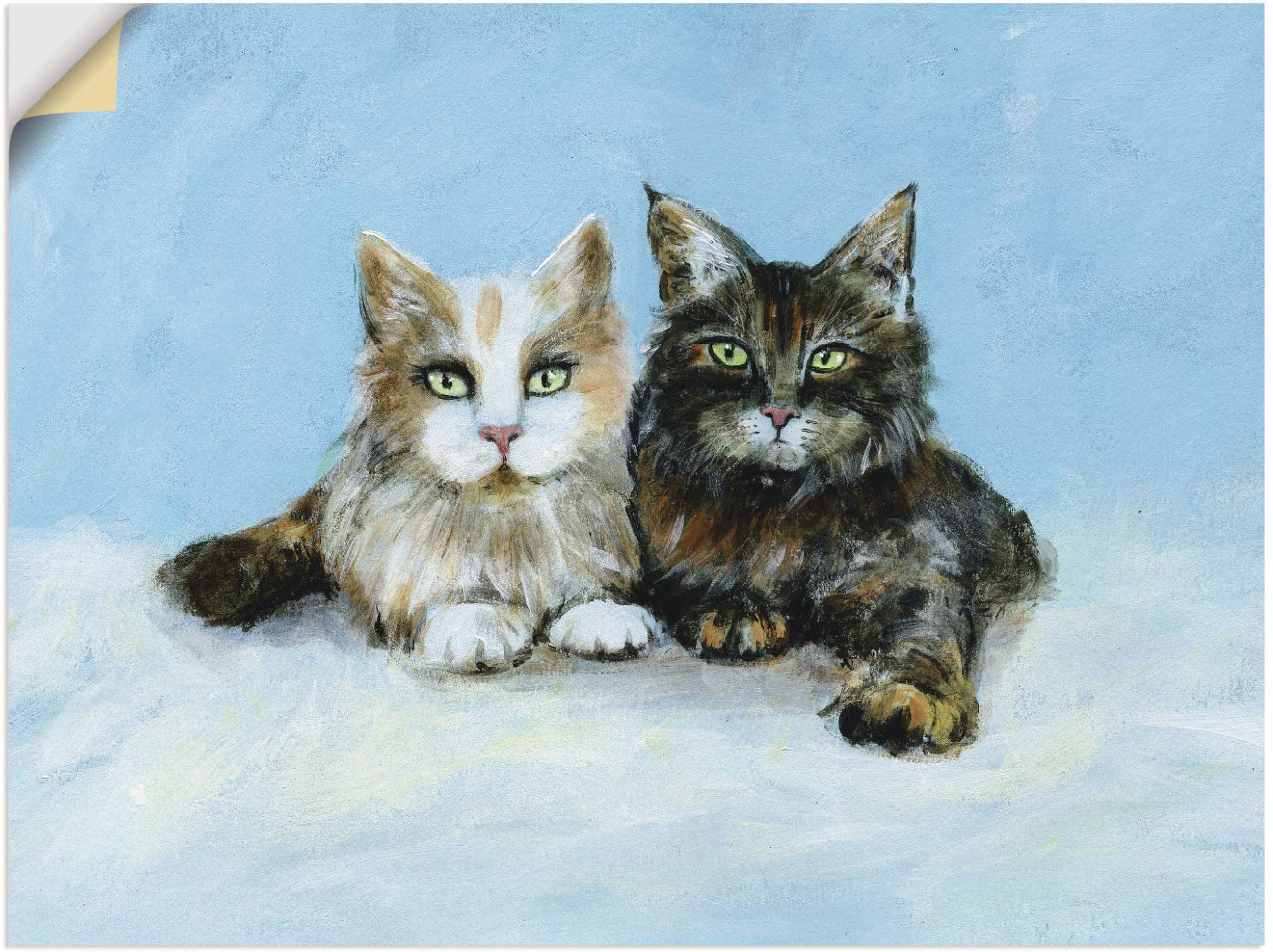 Artland Wandbild »Junge Maine-Coon Katzen«, Haustiere, (1 St.) von Artland