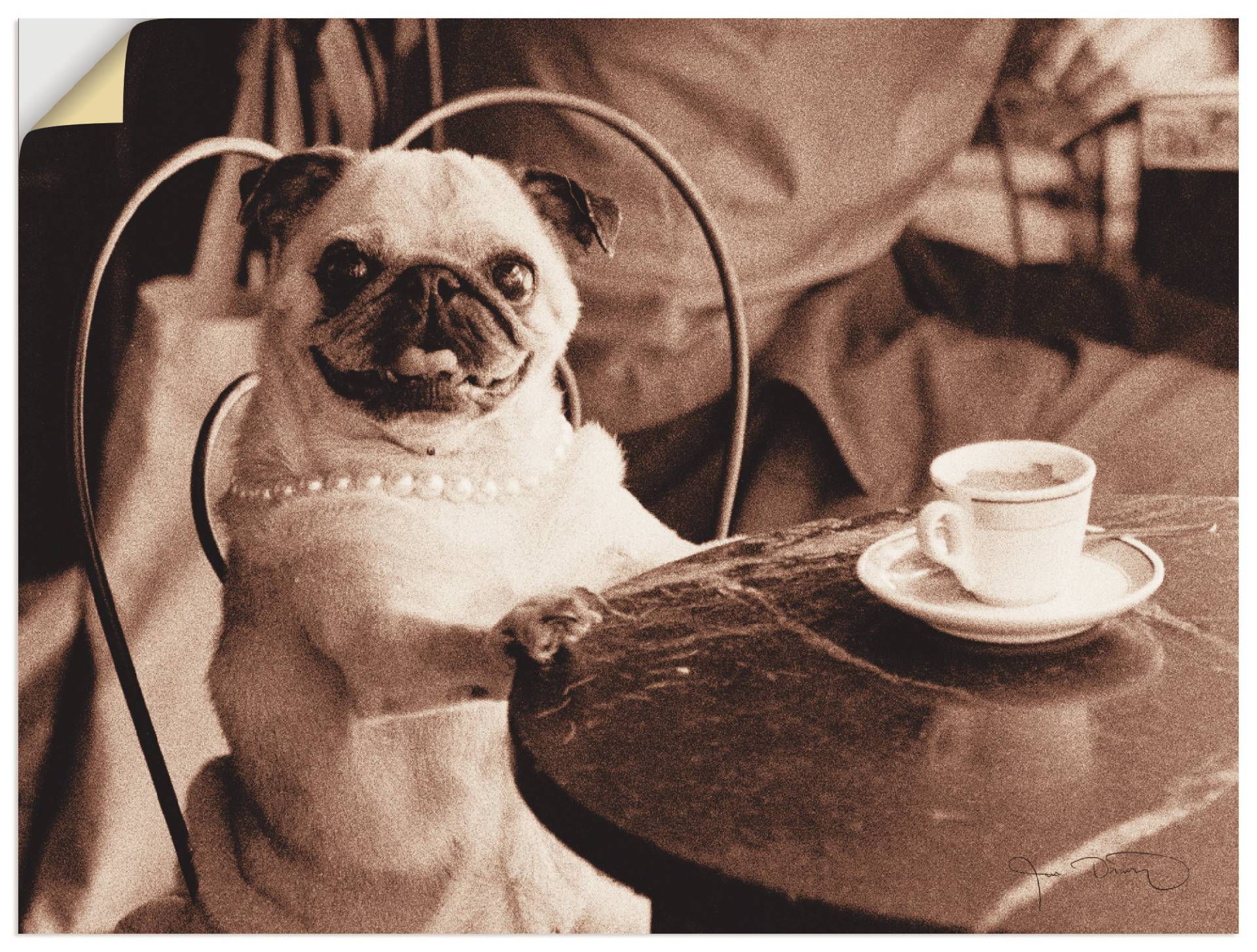 Artland Wandbild »Kaffee Mops«, Haustiere, (1 St.), als Leinwandbild, Poster, Wandaufkleber in verschied. Grössen Artland Wandbild »Kaffee Mops«, Haustiere, (1 St.), als Leinwandbild, Poster, Wandaufkleber in verschied. Grössen von Artland