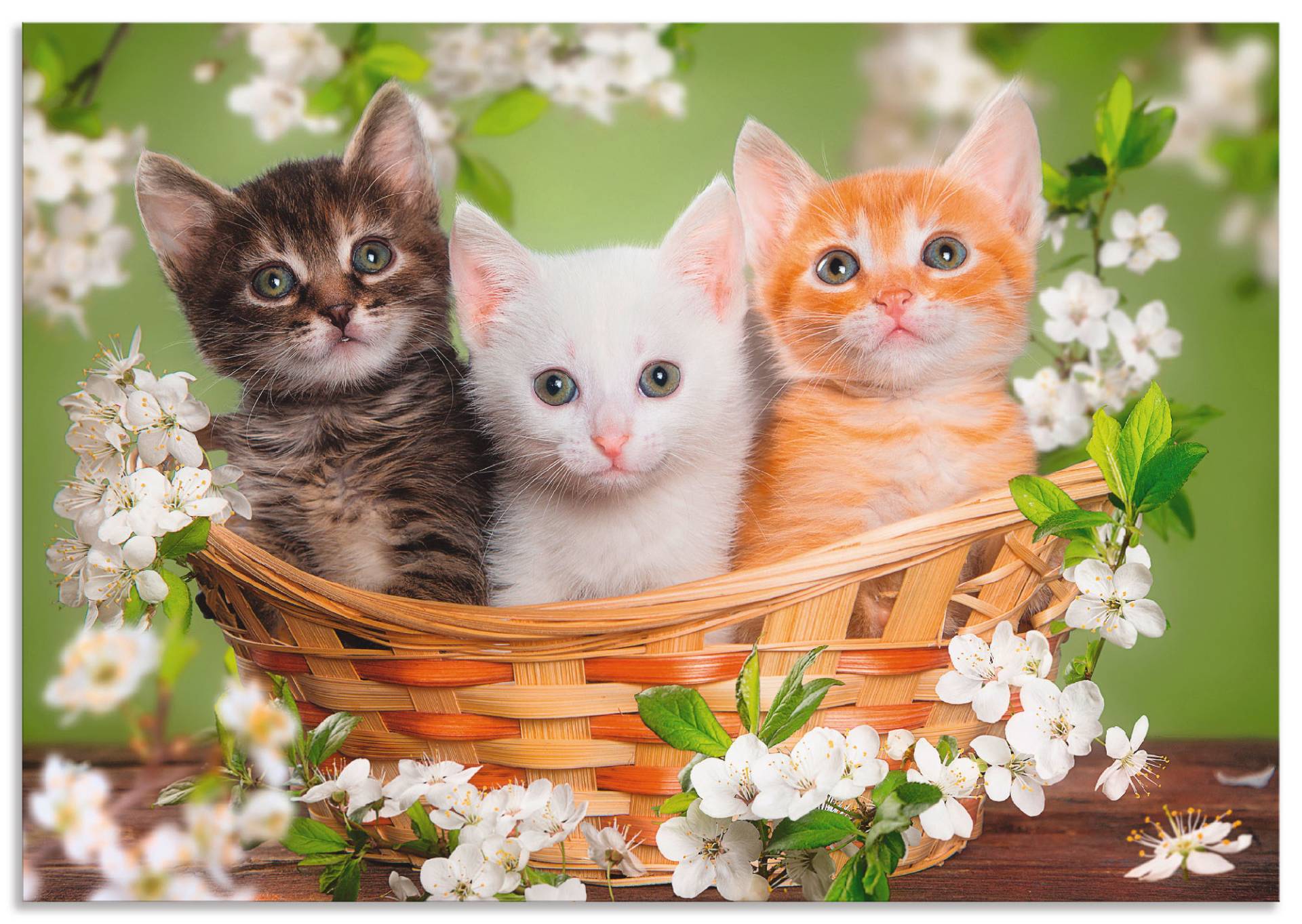 Artland Wandbild »Katzen sitzen in einem Korb«, Haustiere, (1 St.) von Artland