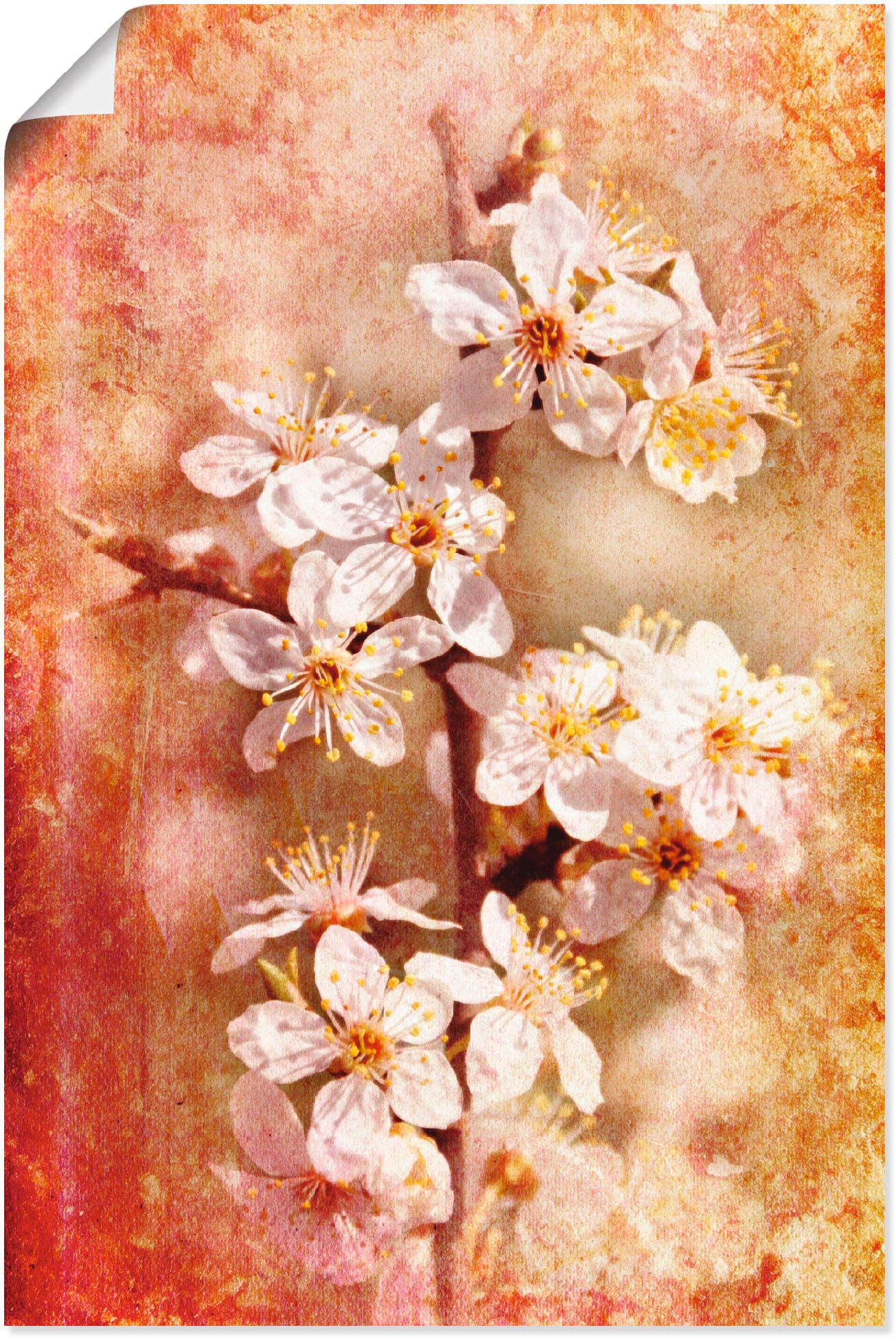 Artland Wandbild »Kirschblüten«, Blumen, (1 St.) von Artland