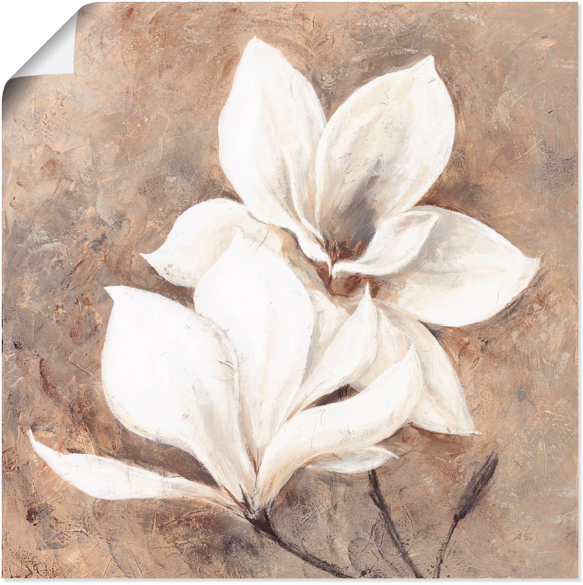 Artland Wandbild »Klassische Magnolien«, Blumen, (1 St.) von Artland