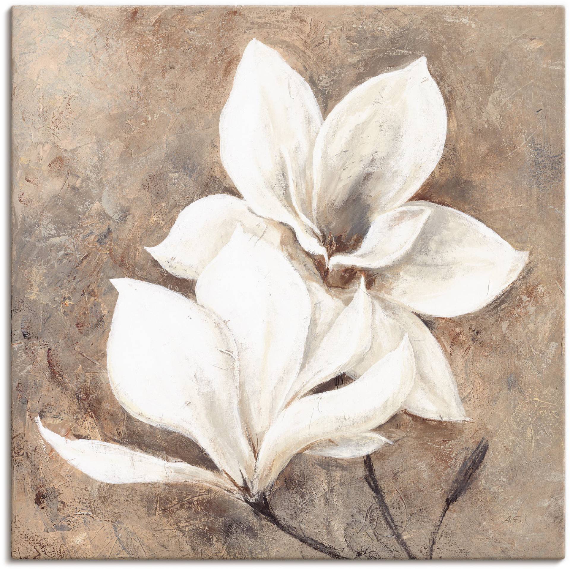 Artland Wandbild »Klassische Magnolien«, Blumen, (1 St.) von Artland