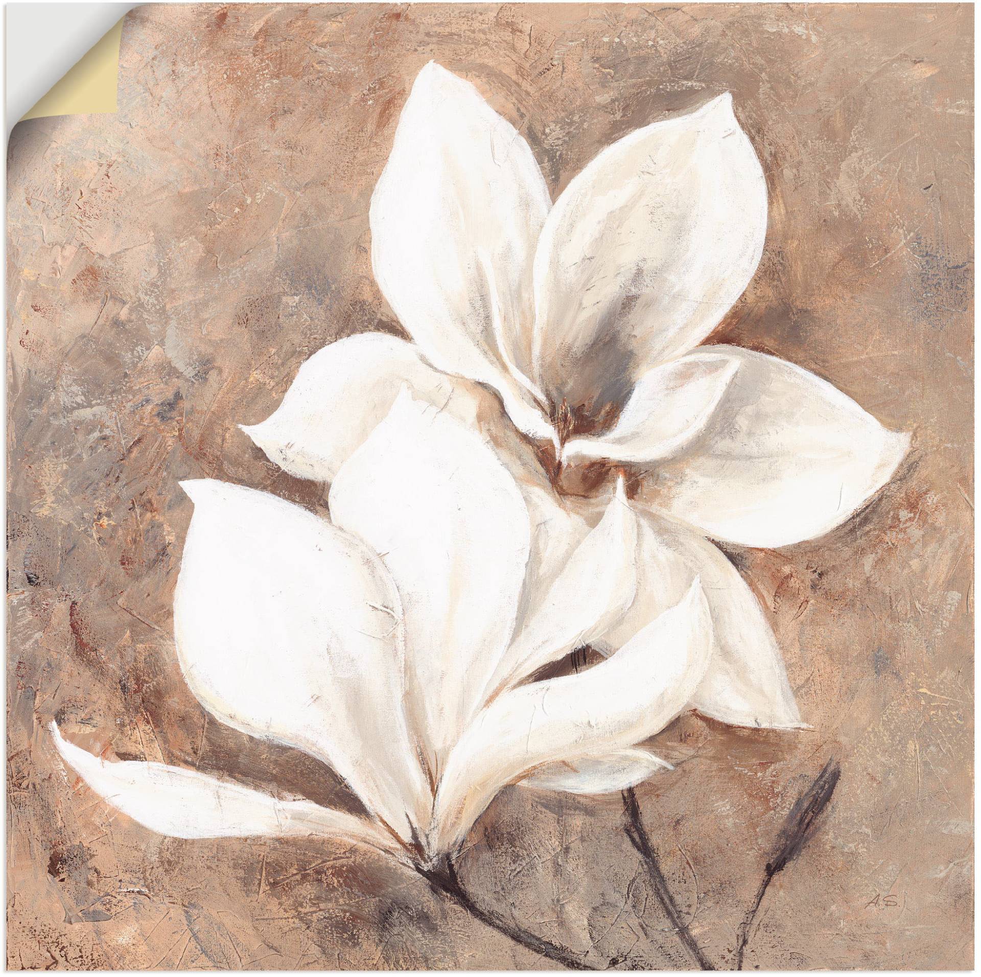 Artland Wandbild »Klassische Magnolien«, Blumen, (1 St.) von Artland