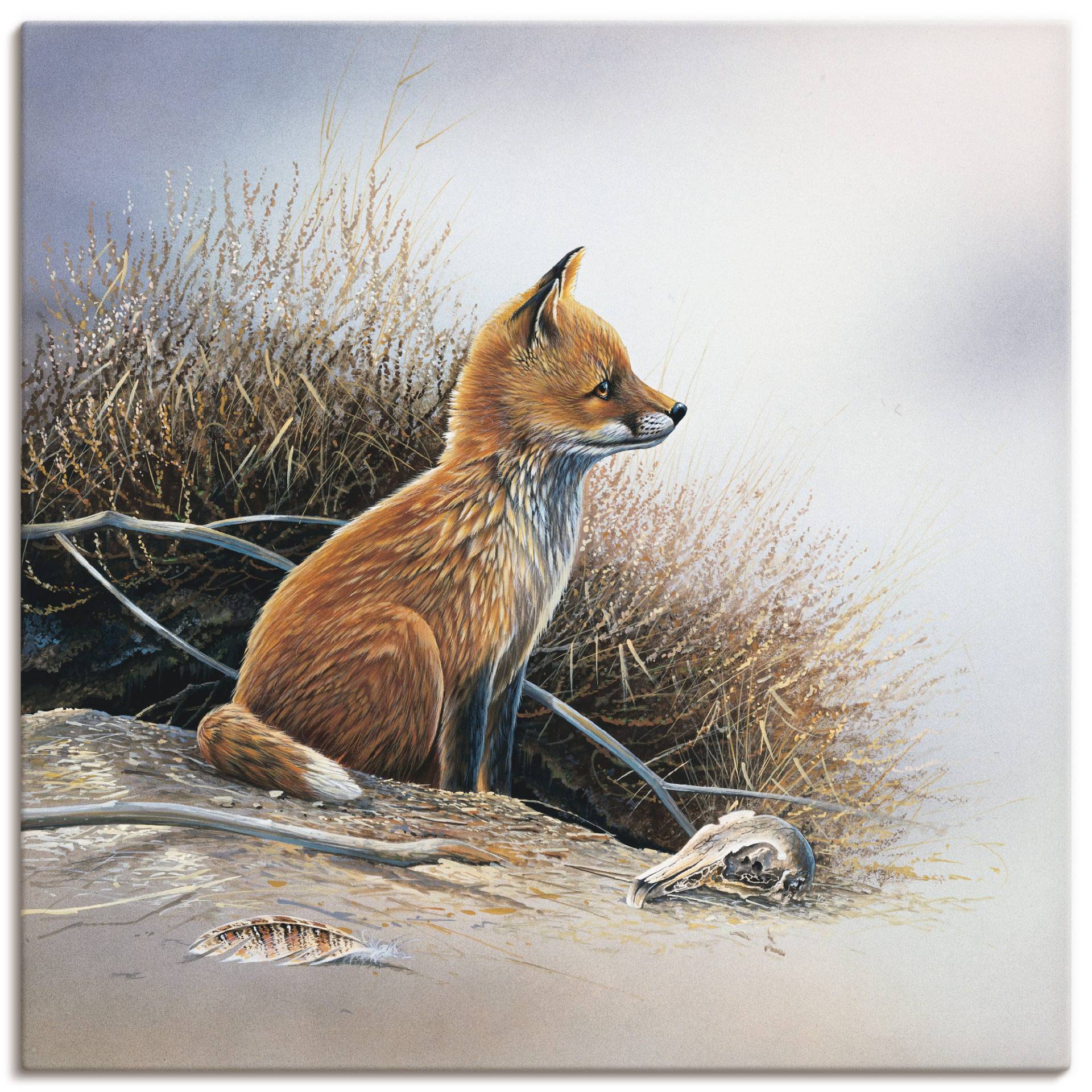 Artland Wandbild »Kleiner Fuchs«, Wildtiere, (1 St.), als Leinwandbild, Poster in verschied. Grössen von Artland