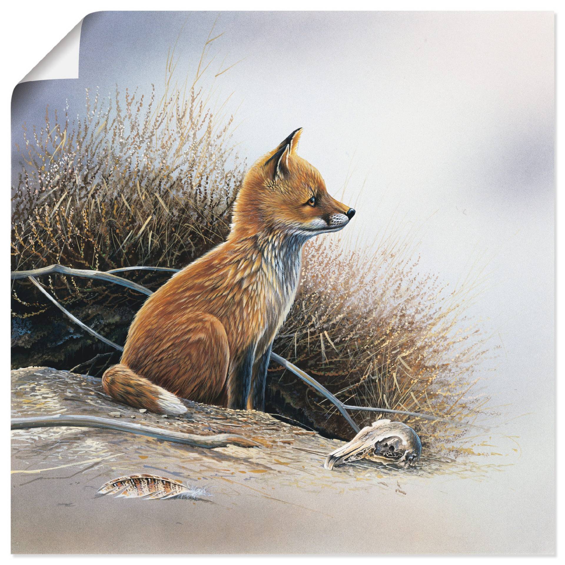 Artland Wandbild »Kleiner Fuchs«, Wildtiere, (1 St.), als Leinwandbild, Poster in verschied. Grössen von Artland