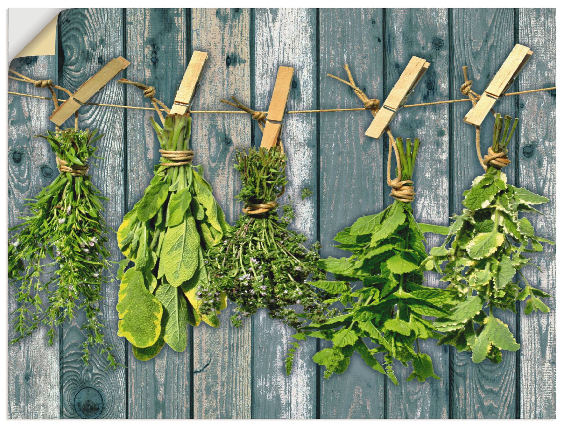 Artland Wandbild »Kräuter mit Holzoptik«, Pflanzen, (1 St.), als Alubild, Outdoorbild, Leinwandbild, Wandaufkleber, versch. Grössen Artland Wandbild »Kräuter mit Holzoptik«, Pflanzen, (1 St.), als Alubild, Outdoorbild, Leinwandbild, Wandaufkleber, versch. Grössen von Artland