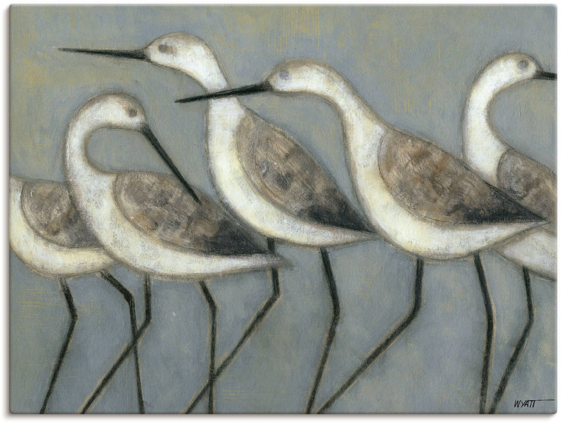 Artland Wandbild »Küstenvögel I«, Vögel, (1 St.) von Artland