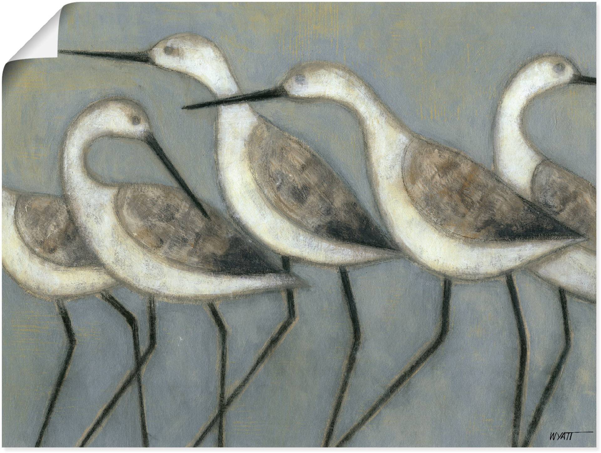 Artland Wandbild »Küstenvögel I«, Vögel, (1 St.) von Artland
