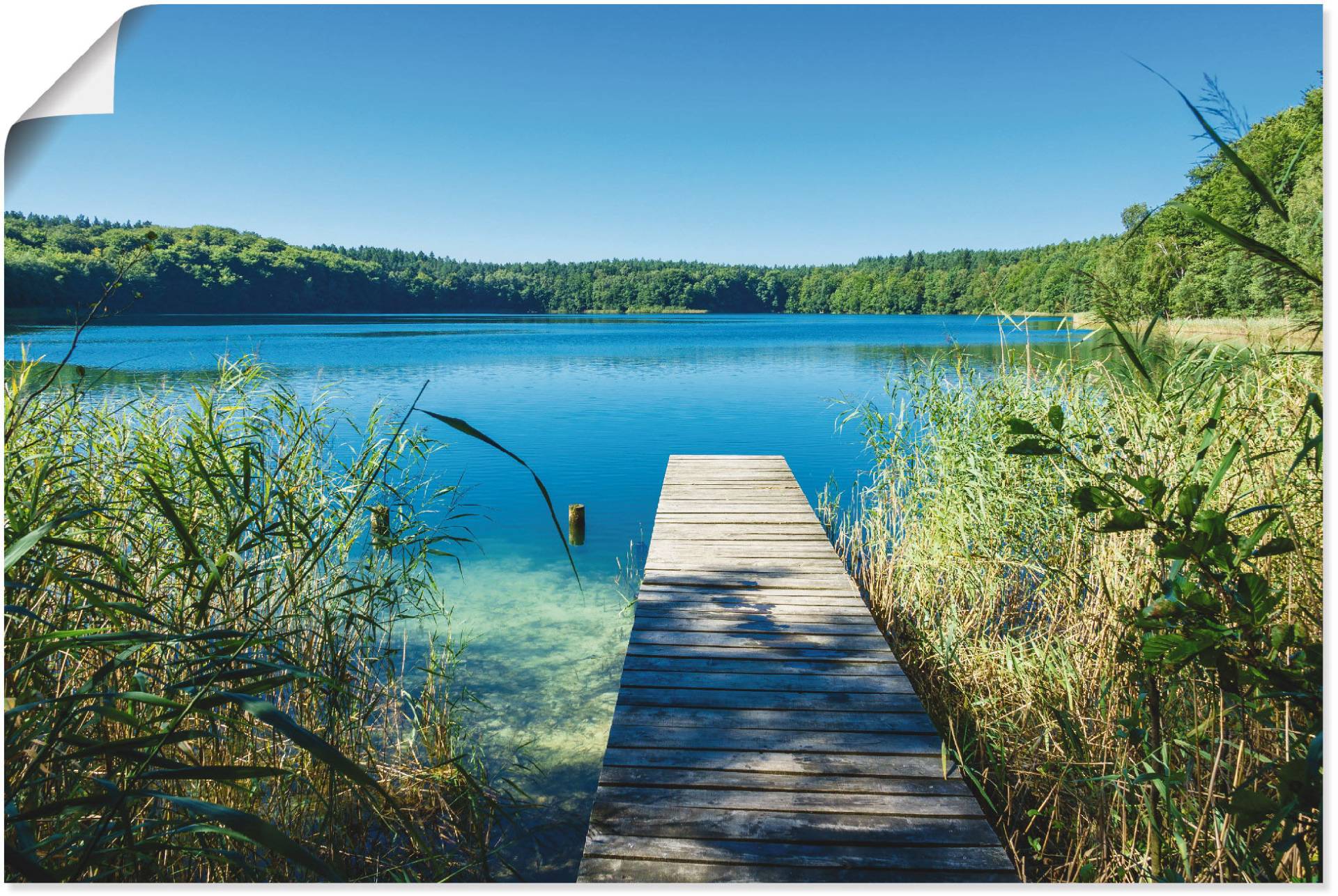 Artland Wandbild »Landschaft am See Steg«, Gewässer, (1 St.) von Artland