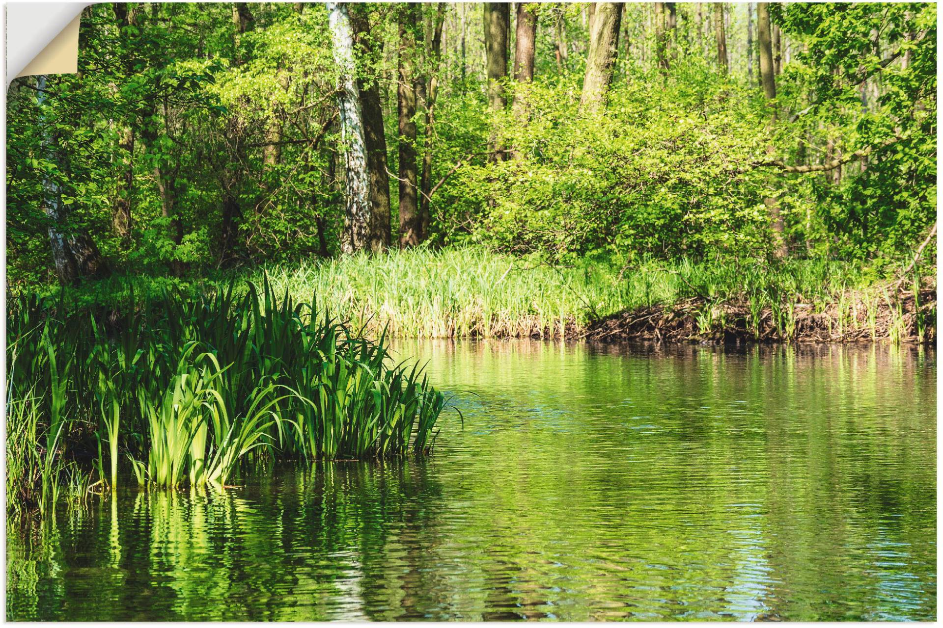 Artland Poster »Landschaft im Spreewald bei Lübbenau II«, Wald, (1 St.), als Alubild, Leinwandbild, Wandaufkleber oder Poster in versch. Grössen Artland Poster »Landschaft im Spreewald bei Lübbenau II«, Wald, (1 St.), als Alubild, Leinwandbild, Wandaufkleber oder Poster in versch. Grössen von Artland