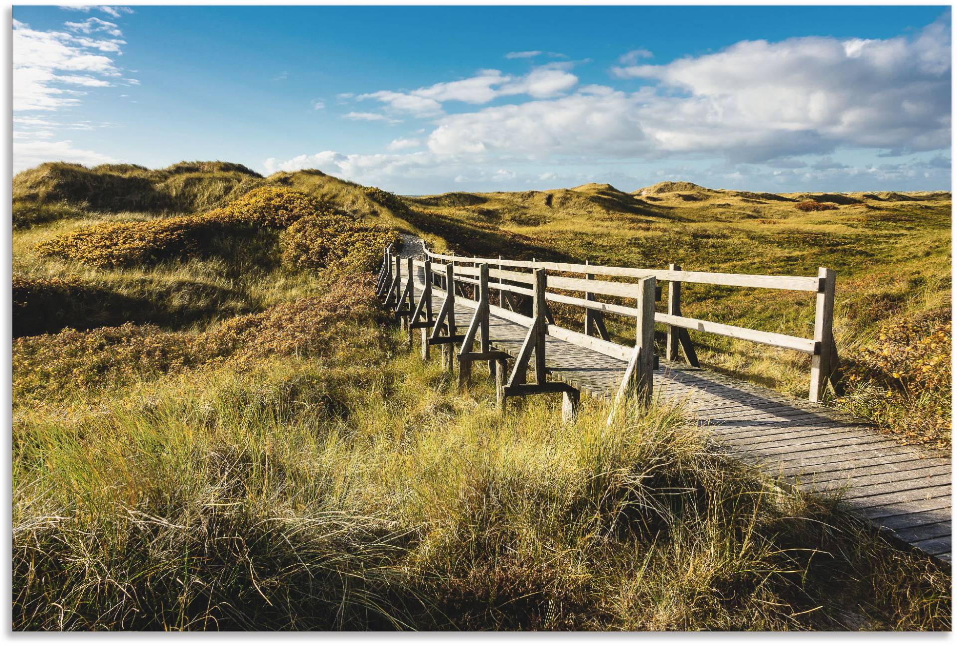 Artland Wandbild »Landschaft in den Dünen Insel Amrum«, Küste, (1 St.), als Alubild, Outdoorbild in verschied. Grössen Artland Wandbild »Landschaft in den Dünen Insel Amrum«, Küste, (1 St.), als Alubild, Outdoorbild in verschied. Grössen von Artland
