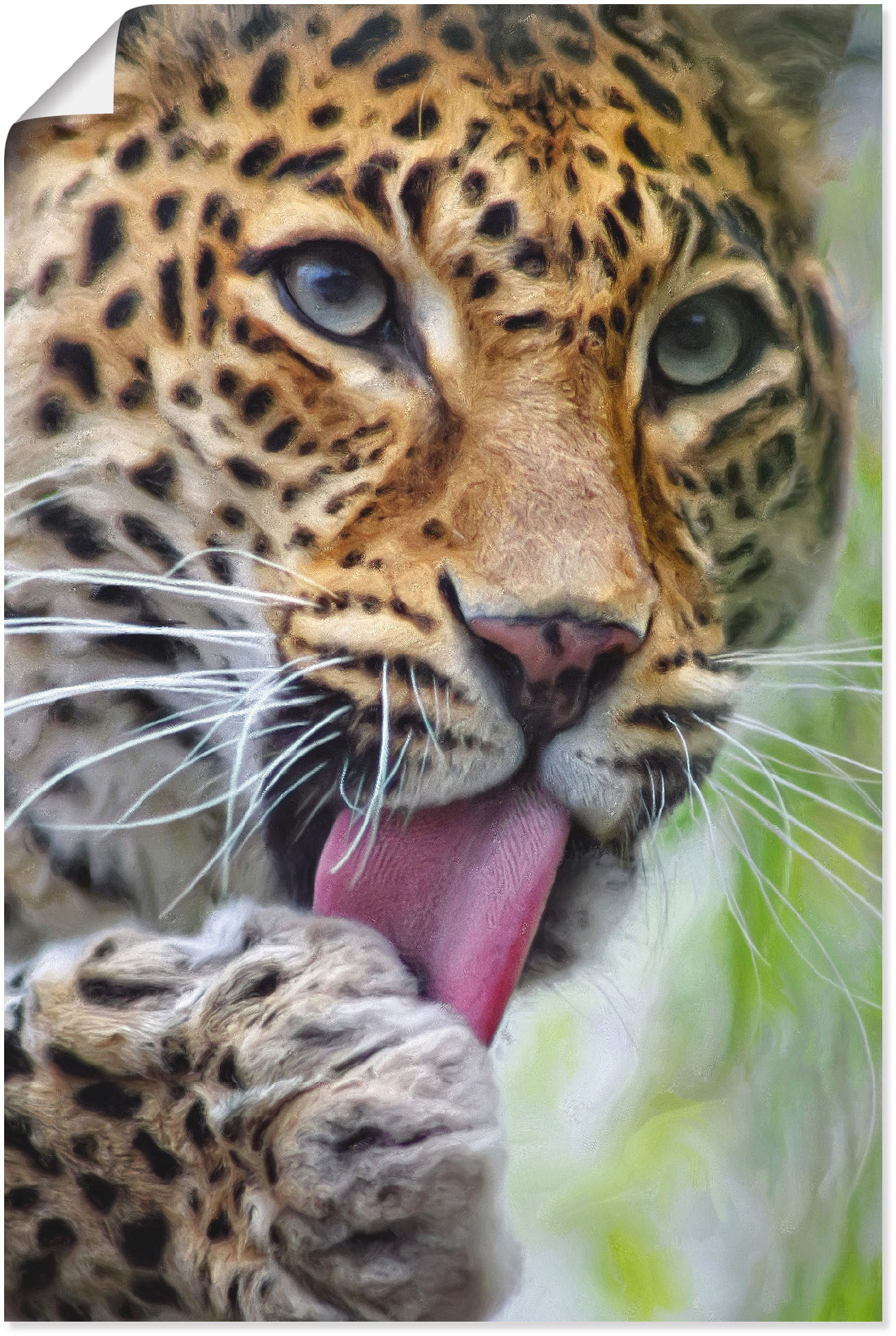 Artland Wandbild »Leopard«, Wildtiere, (1 St.), als Leinwandbild, Poster, Wandaufkleber in verschied. Grössen Artland Wandbild »Leopard«, Wildtiere, (1 St.), als Leinwandbild, Poster, Wandaufkleber in verschied. Grössen von Artland