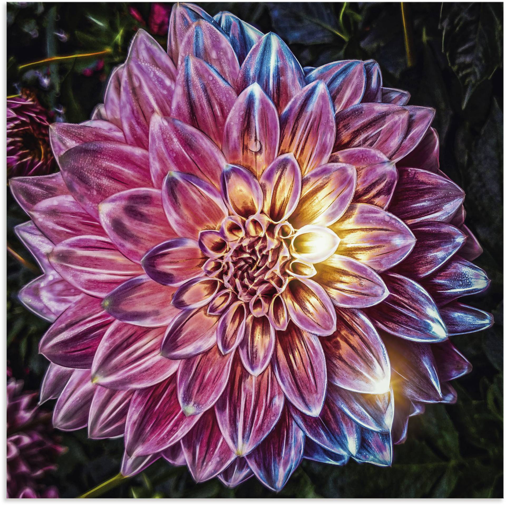 Artland Wandbild »Lila Blüte beleuchtet«, Blumenbilder, (1 St.), als Alubild, Leinwandbild, Wandaufkleber oder Poster in versch. Grössen von Artland