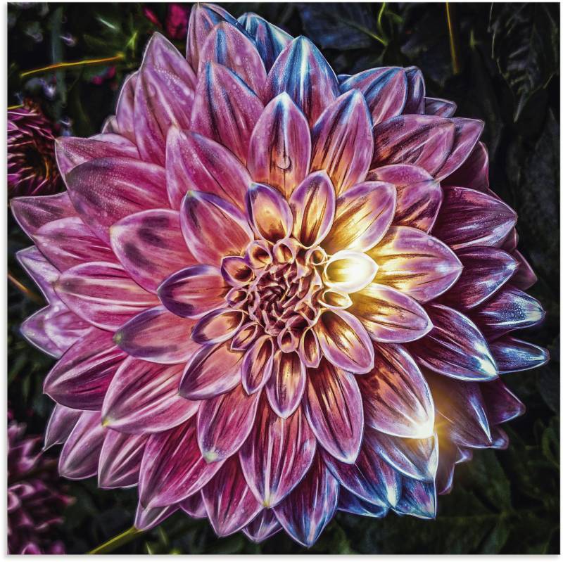 Artland Wandbild »Lila Blüte beleuchtet«, Blumenbilder, (1 St.), als Alubild, Leinwandbild, Wandaufkleber oder Poster in versch. Grössen von Artland