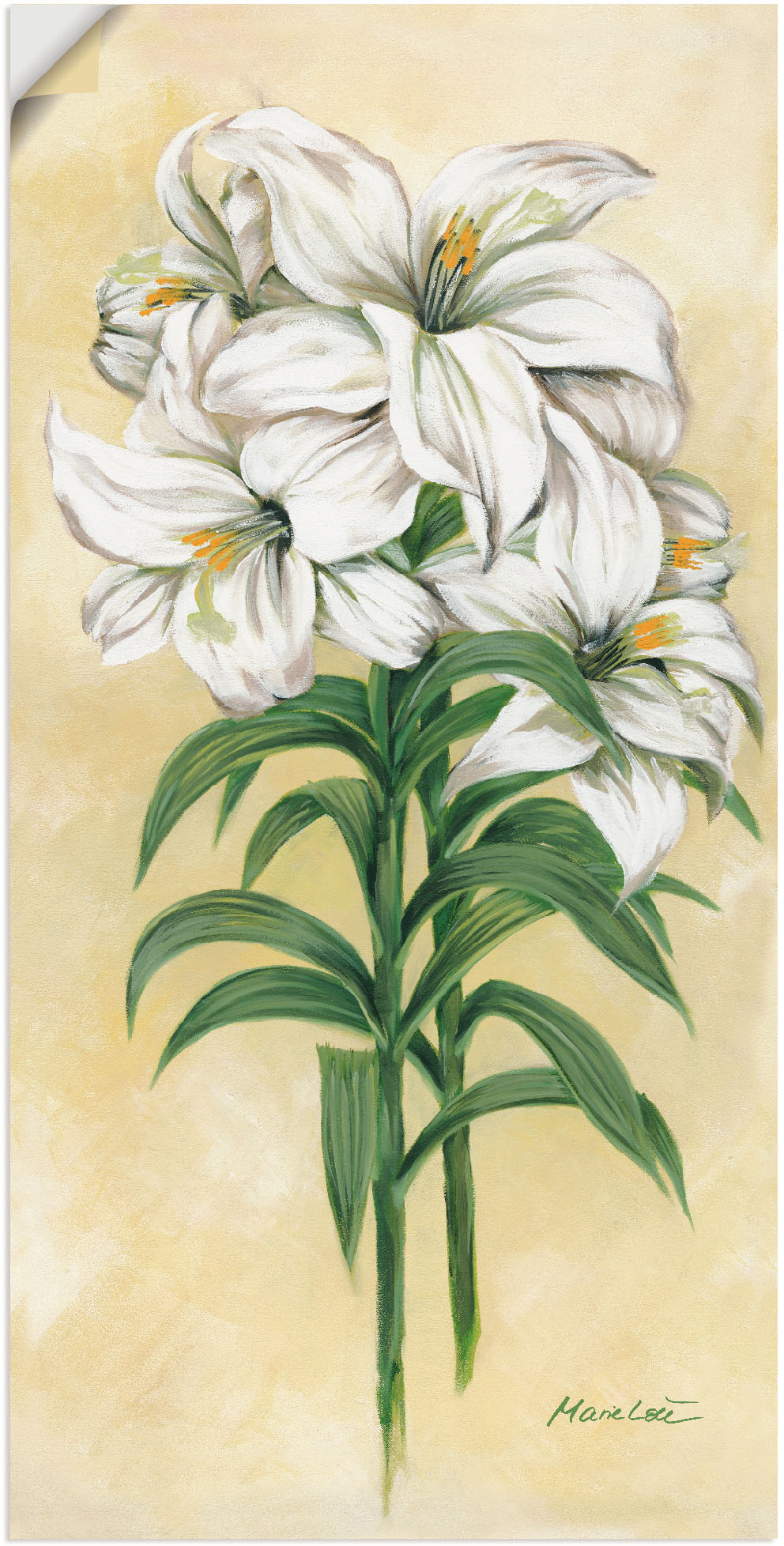 Artland Wandbild »Lilien«, Blumen, (1 St.) von Artland