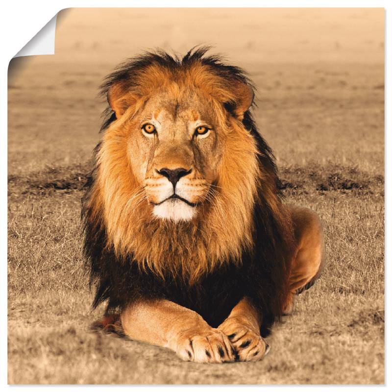 Artland Wandbild »Löwe«, Wildtiere, (1 St.), als Alubild, Outdoorbild, Leinwandbild, Poster, Wandaufkleber von Artland