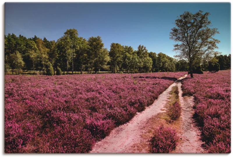 Artland Leinwandbild »Lüneburger Heide Romantik«, Blumenwiese, (1 St.) von Artland