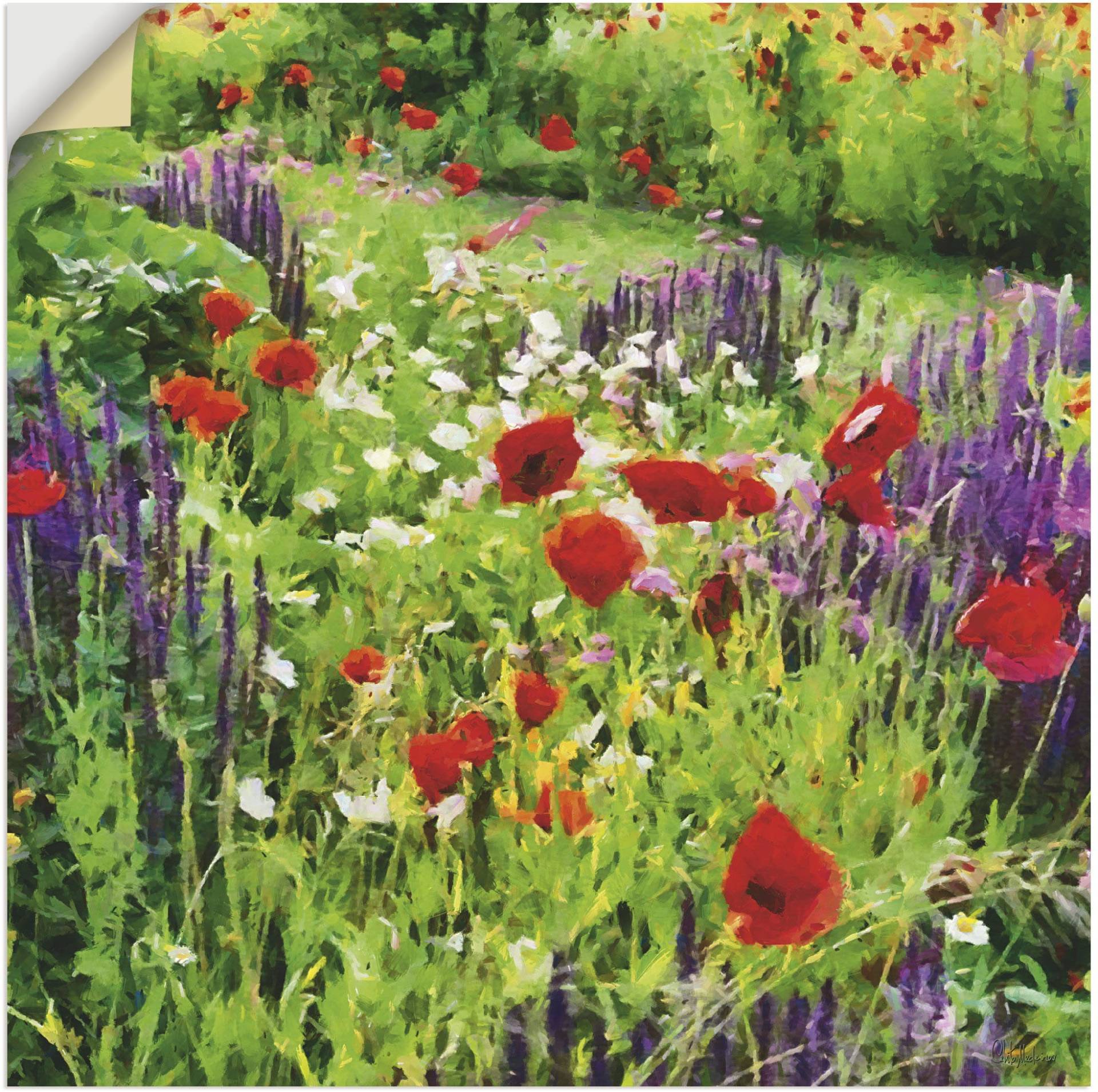 Artland Wandbild »Lupinen und Mohnblumen«, Blumenwiese, (1 St.), als Poster, Wandaufkleber in verschied. Grössen von Artland