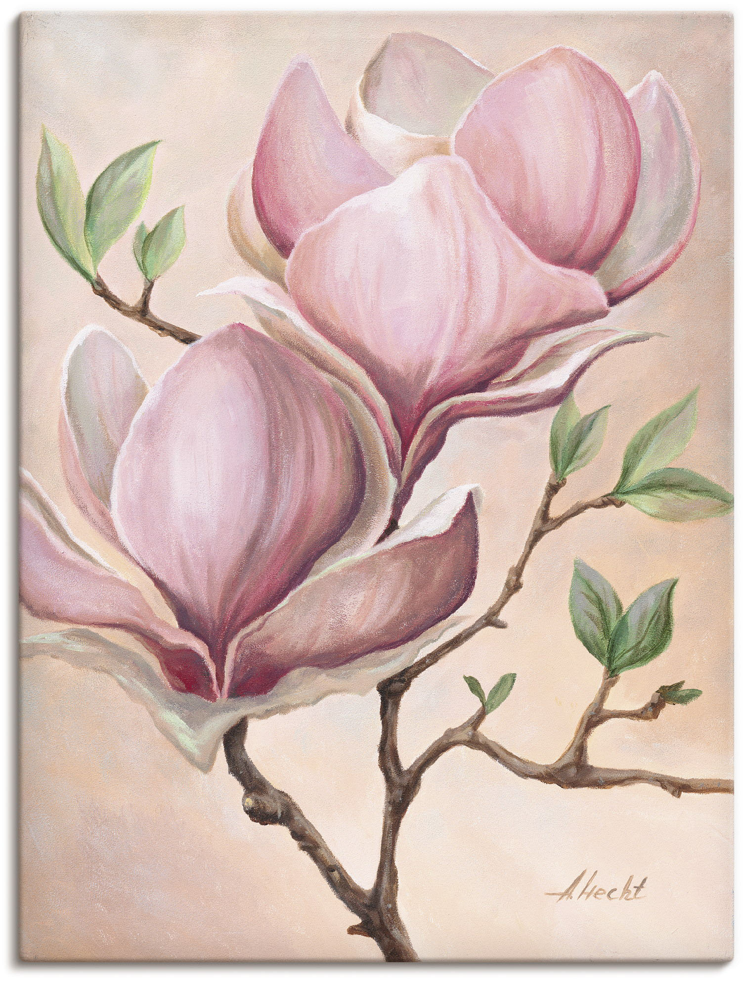 Artland Wandbild »Magnolienblüten«, Blumen, (1 St.) von Artland
