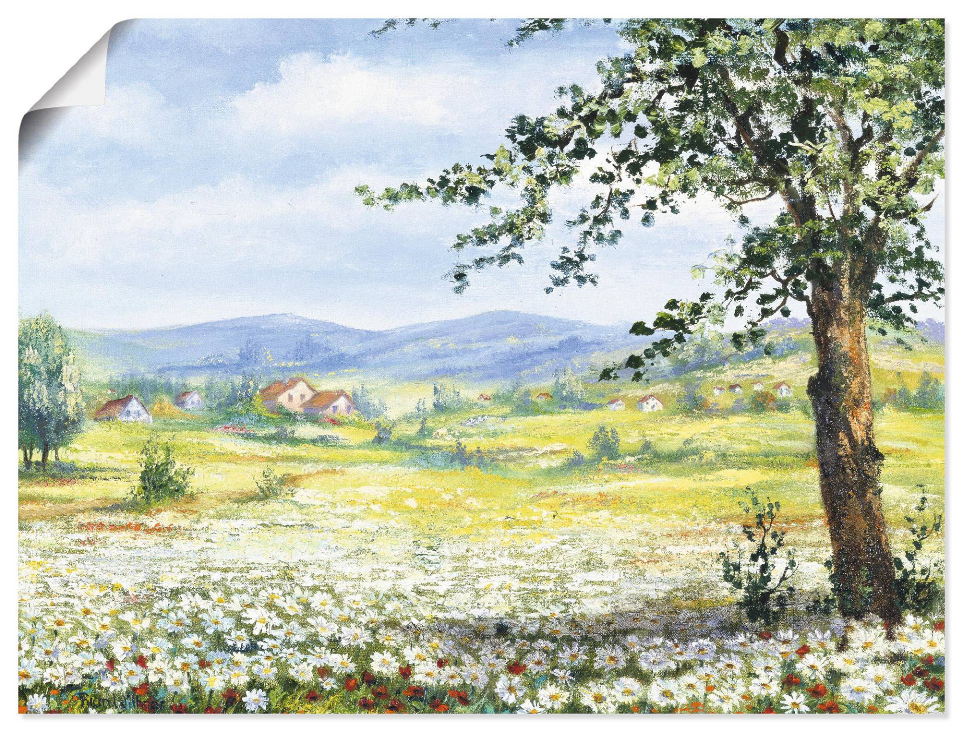 Artland Wandbild »Margeritenfeld«, Wiesen & Bäume, (1 St.), als Poster, Wandaufkleber in verschied. Grössen Artland Wandbild »Margeritenfeld«, Wiesen & Bäume, (1 St.), als Poster, Wandaufkleber in verschied. Grössen von Artland