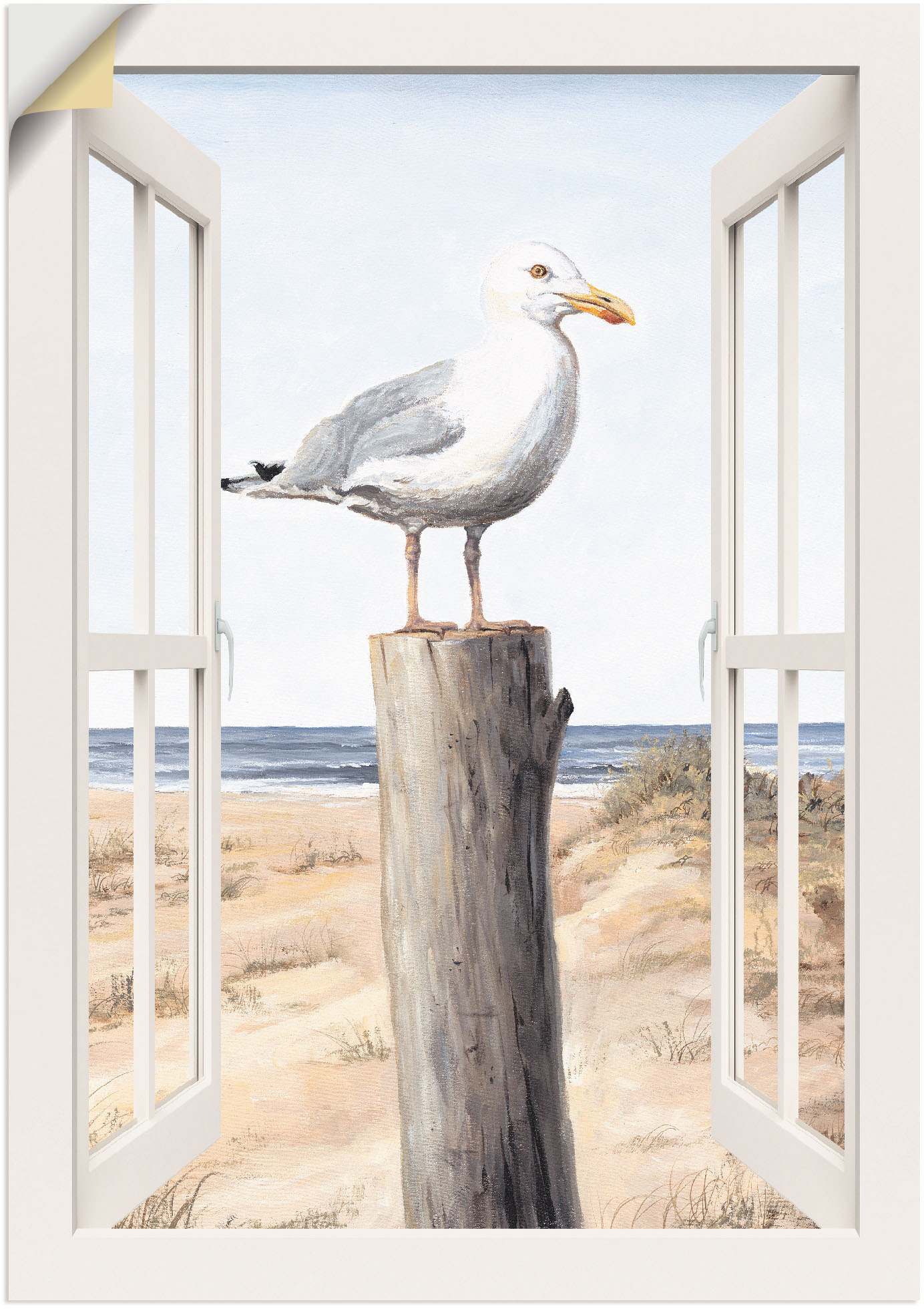 Artland Wandbild »Möwe Fensterblick«, Vogelbilder, (1 St.) von Artland