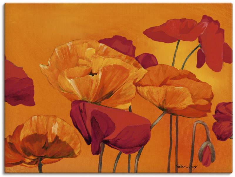 Artland Wandbild »Mohnblume«, Blumen, (1 St.), als Leinwandbild, Poster in verschied. Grössen von Artland
