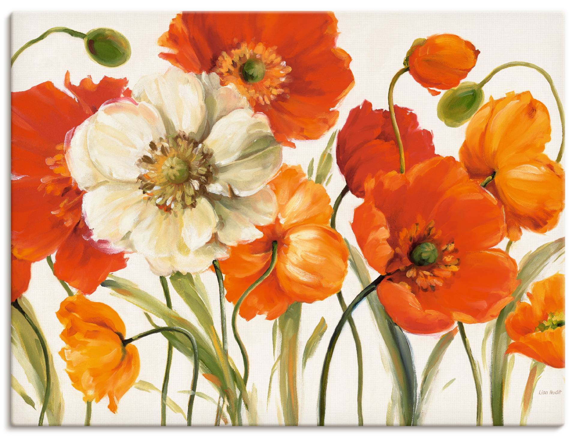 Artland Wandbild »Mohnblumen I«, Blumen, (1 St.) von Artland