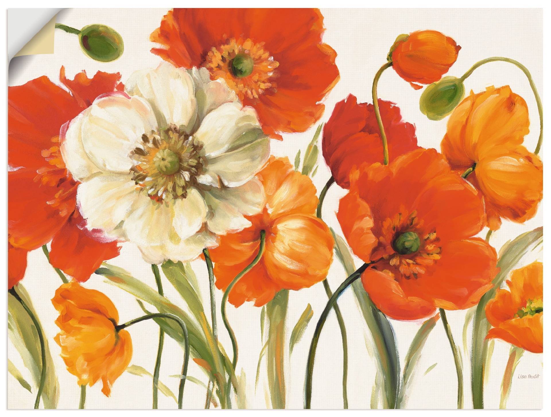 Artland Wandbild »Mohnblumen I«, Blumen, (1 St.), als Leinwandbild, Poster, Wandaufkleber in verschied. Grössen von Artland