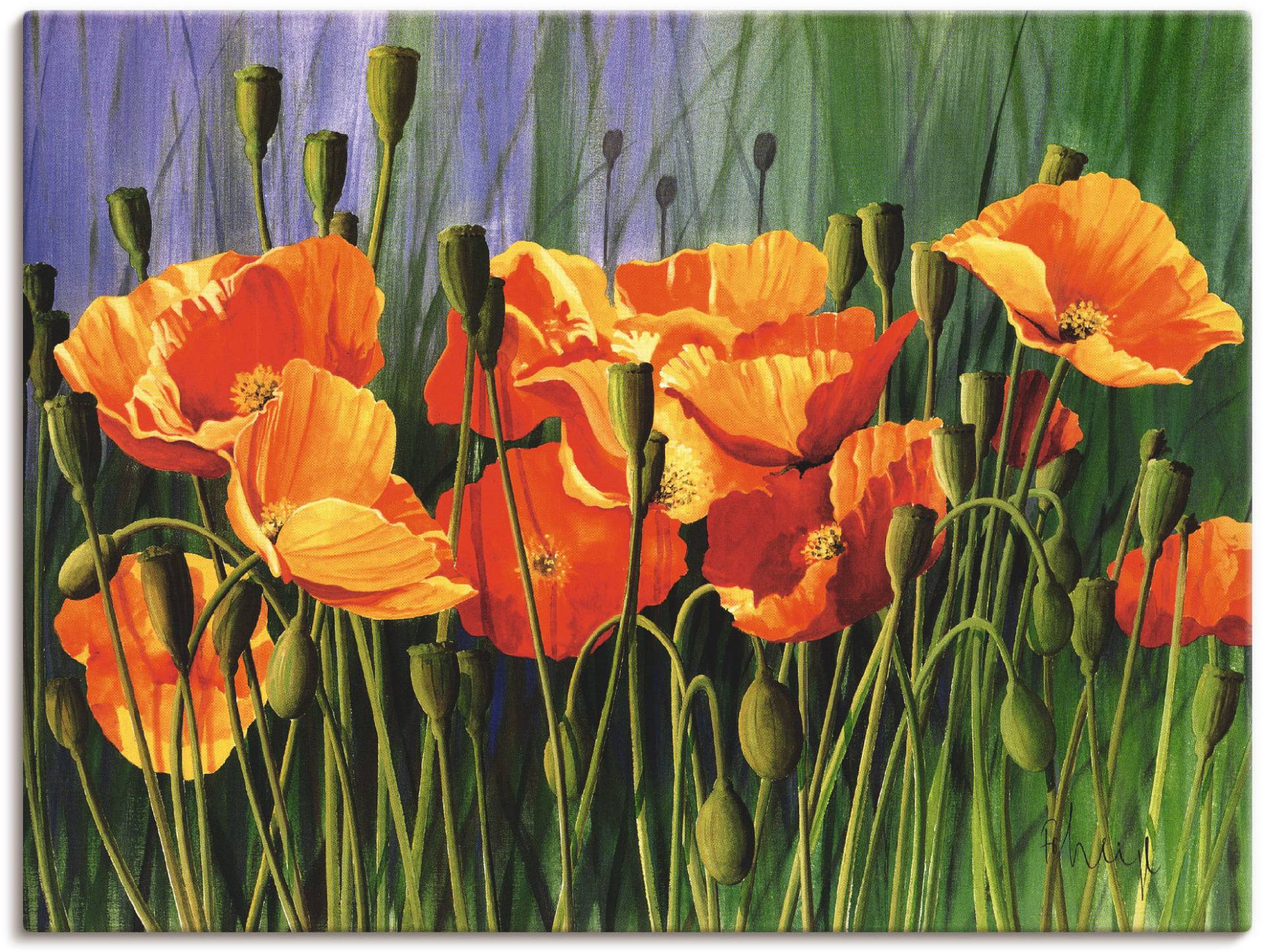 Artland Leinwandbild »Mohnblumen I«, Blumen, (1 St.) von Artland