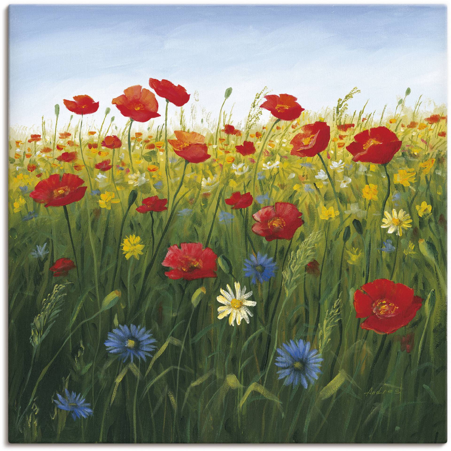 Artland Wandbild »Mohnblumen Landschaft I«, Blumenwiese, (1 St.) von Artland