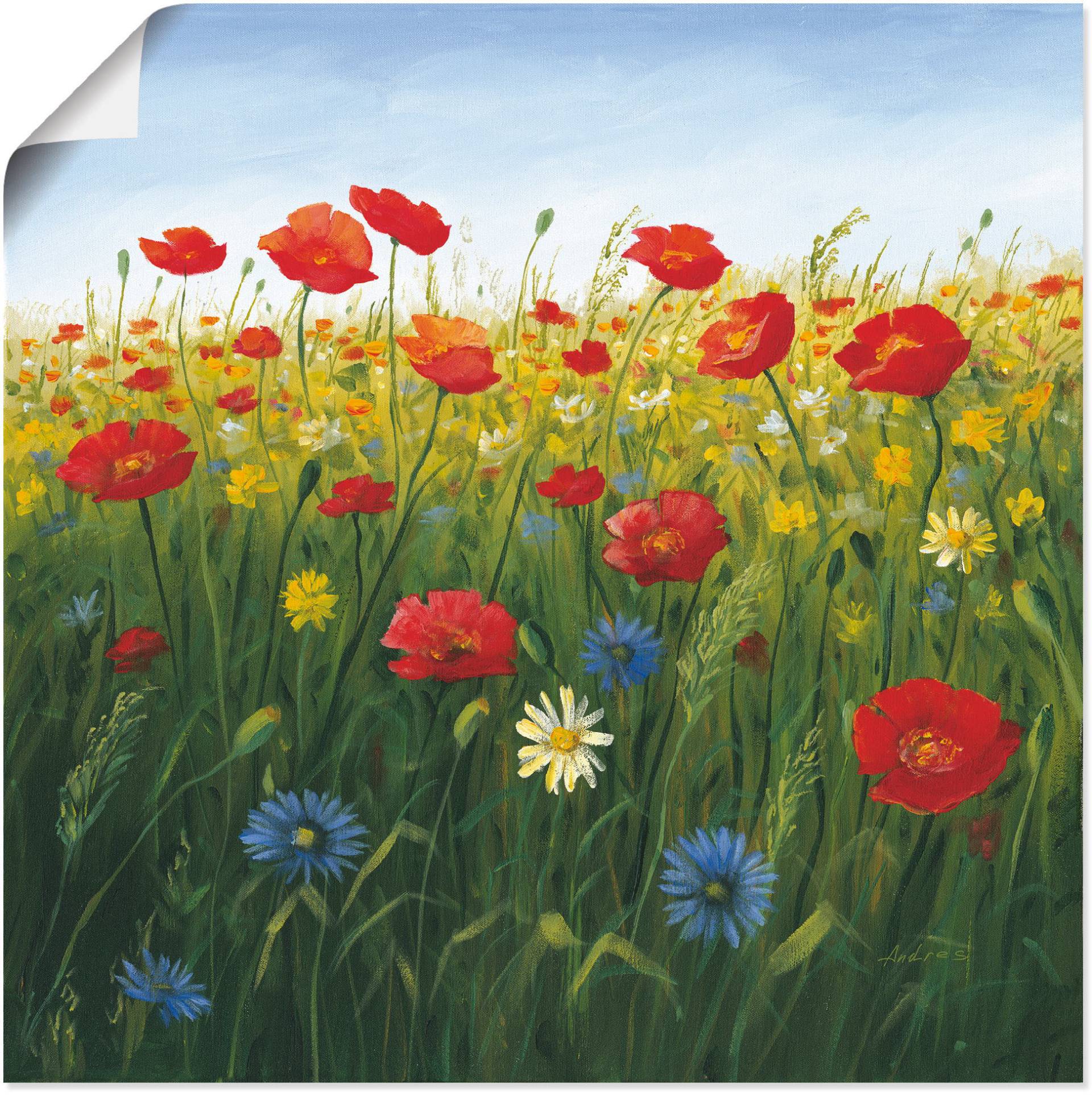 Artland Wandbild »Mohnblumen Landschaft I«, Blumenwiese, (1 St.) von Artland