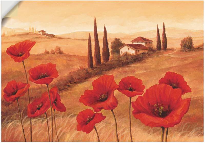 Artland Wandbild »Mohnblumen in der Toskana«, Europa, (1 St.) von Artland