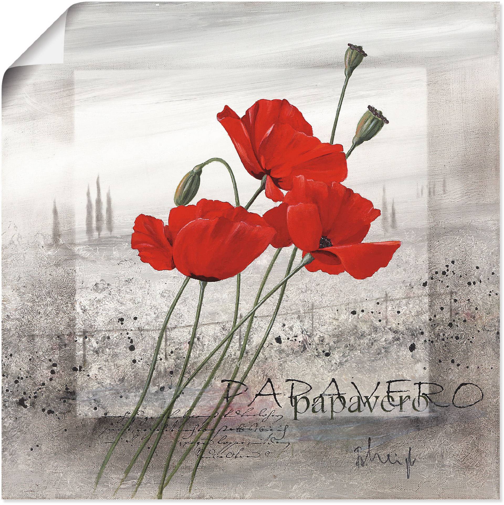 Artland Wandbild »Mohnblumen«, Blumen, (1 St.), als Leinwandbild, Poster, Wandaufkleber in verschied. Grössen Artland Wandbild »Mohnblumen«, Blumen, (1 St.), als Leinwandbild, Poster, Wandaufkleber in verschied. Grössen von Artland