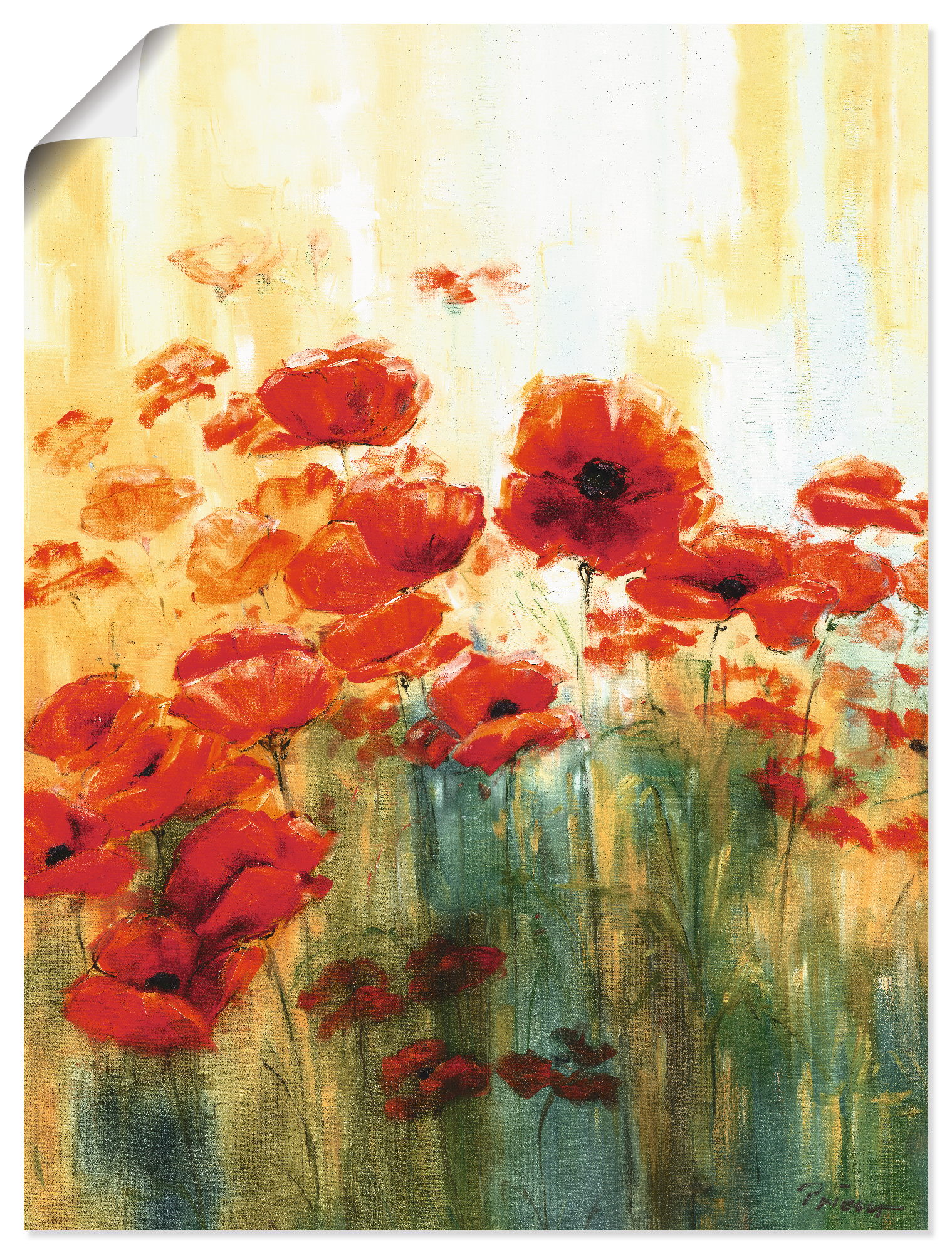 Artland Wandbild »Mohnwiese«, Blumen, (1 St.) von Artland