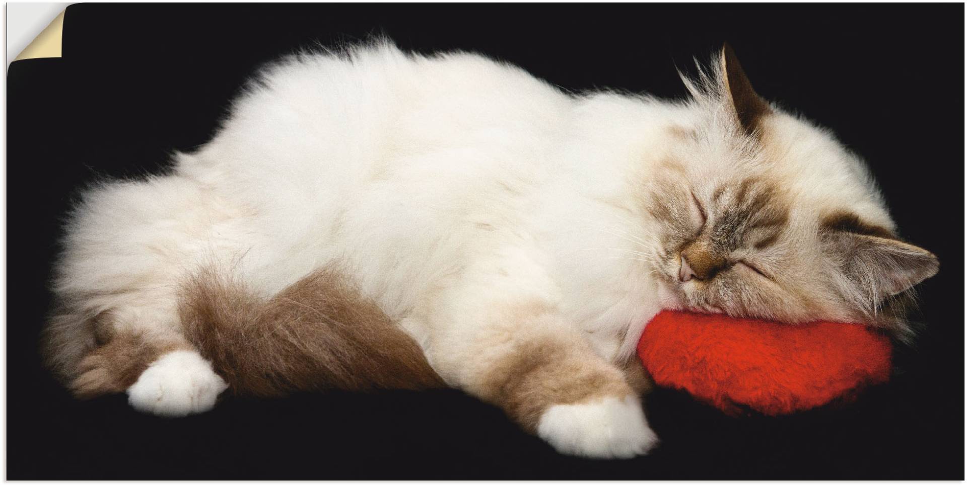 Artland Wandbild »Müde Katze«, Haustiere, (1 St.), als Leinwandbild, Poster, Wandaufkleber in verschied. Grössen Artland Wandbild »Müde Katze«, Haustiere, (1 St.), als Leinwandbild, Poster, Wandaufkleber in verschied. Grössen von Artland