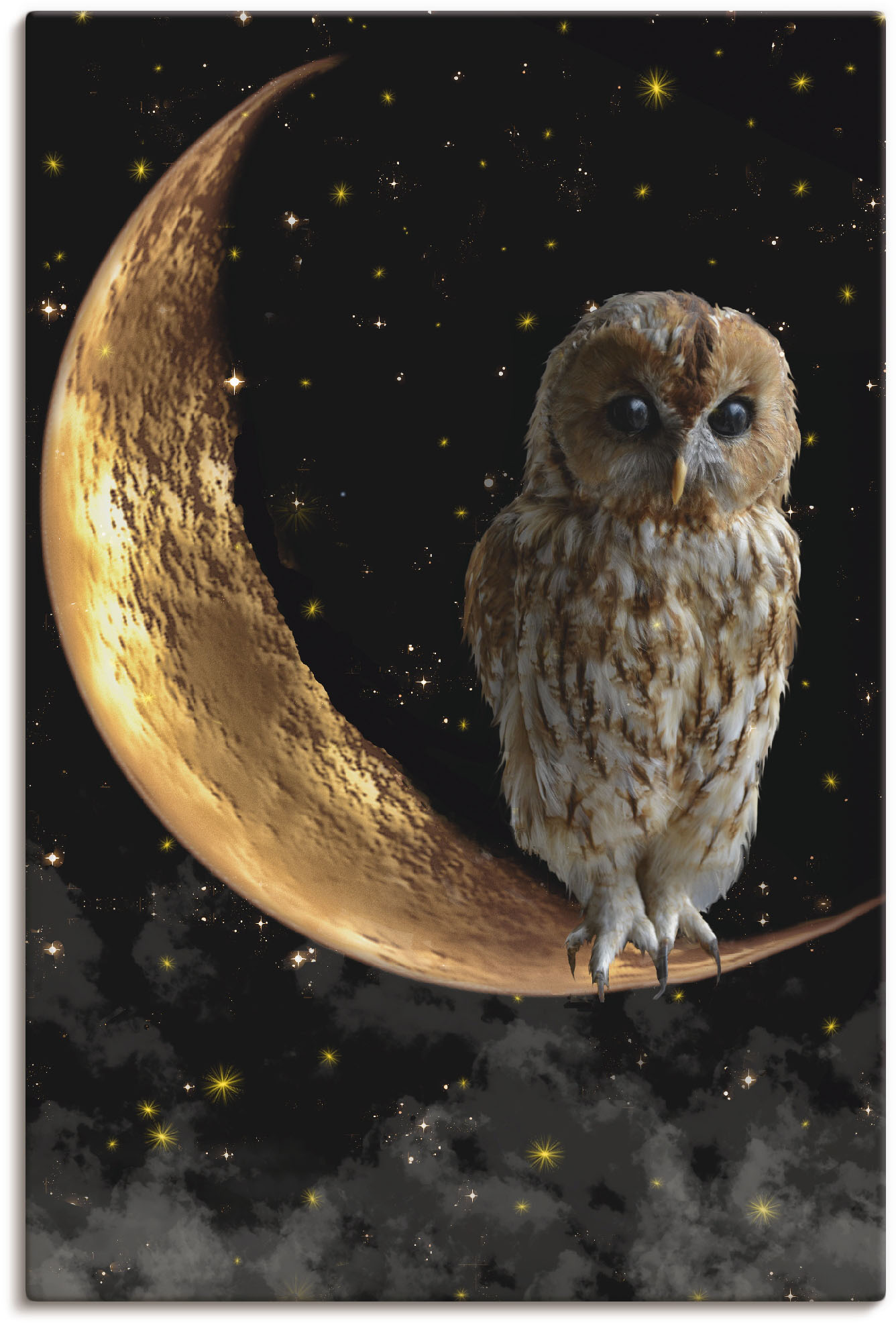 Artland Wandbild »Nachteule«, Vögel, (1 St.), als Alubild, Outdoorbild, Leinwandbild, Poster in verschied. Grössen Artland Wandbild »Nachteule«, Vögel, (1 St.), als Alubild, Outdoorbild, Leinwandbild, Poster in verschied. Grössen von Artland