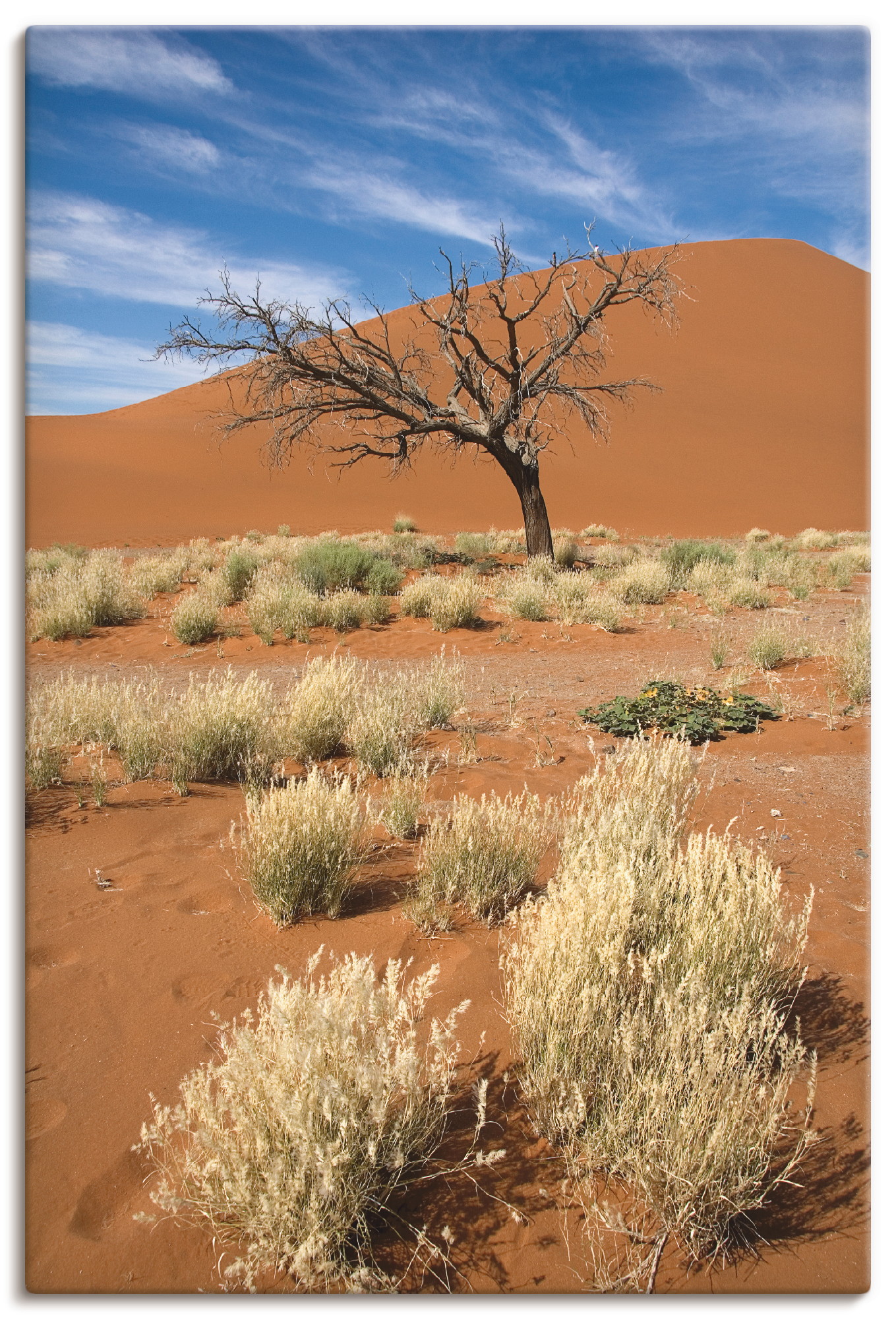 Artland Wandbild »Namib-Wüste 2«, Afrika, (1 St.) von Artland