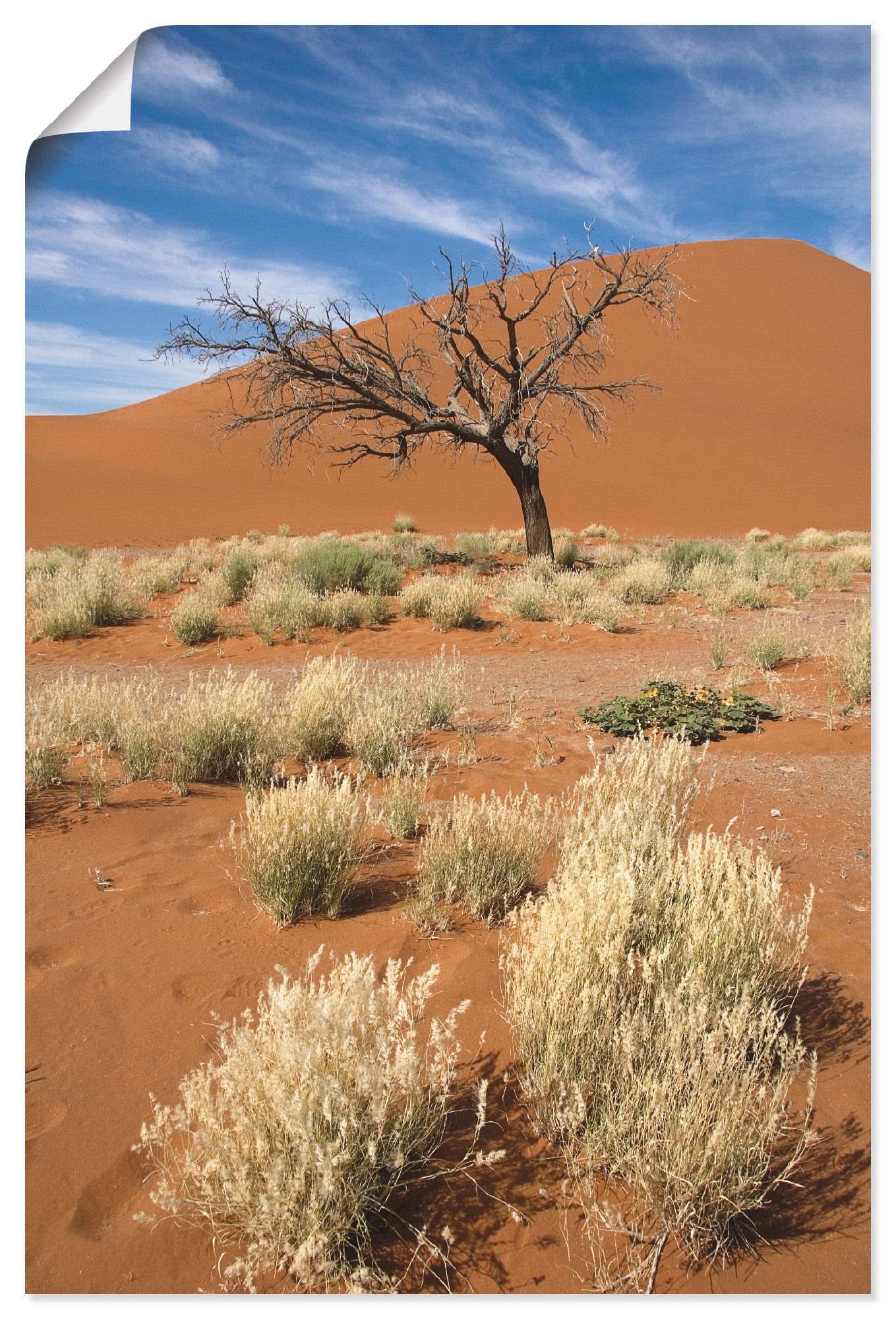 Artland Wandbild »Namib-Wüste 2«, Afrika, (1 St.) von Artland