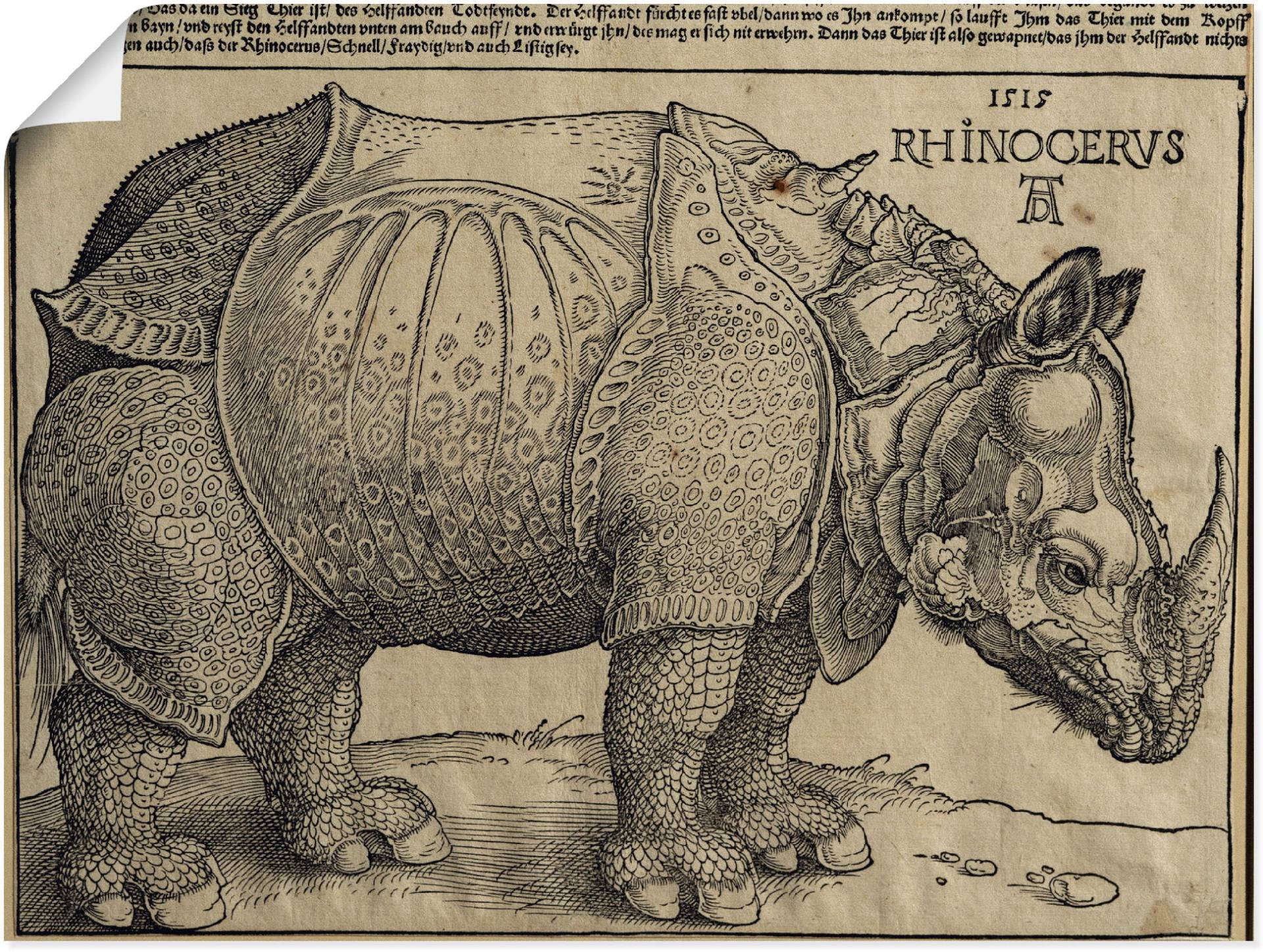 Artland Kunstdruck »Nashorn. 1515. Für König Emanuel.«, Wildtiere, (1 St.), als Leinwandbild, Wandaufkleber oder Poster in versch. Grössen Artland Kunstdruck »Nashorn. 1515. Für König Emanuel.«, Wildtiere, (1 St.), als Leinwandbild, Wandaufkleber oder Poster in versch. Grössen von Artland